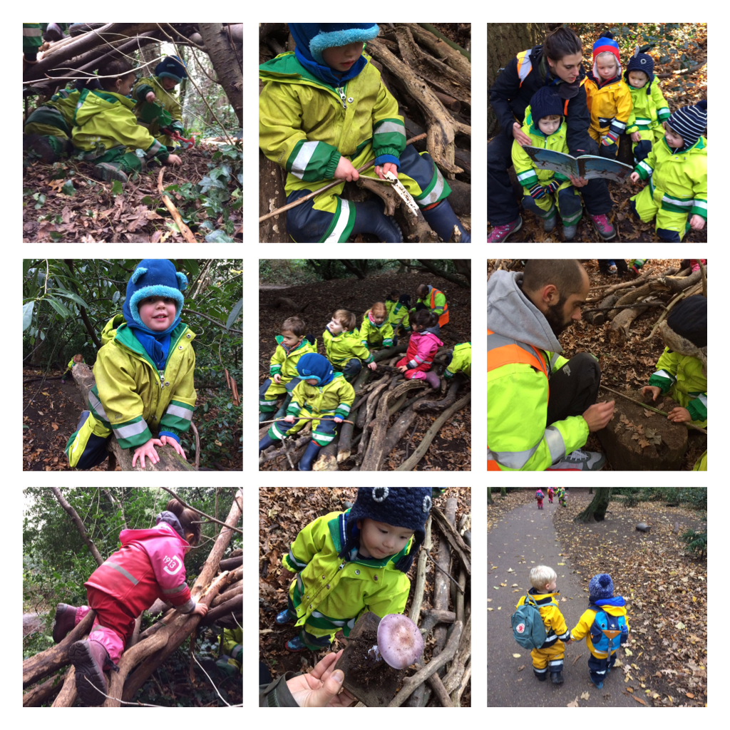 Chiswick - Gold, Silver and Bronze Leaf Medals! 