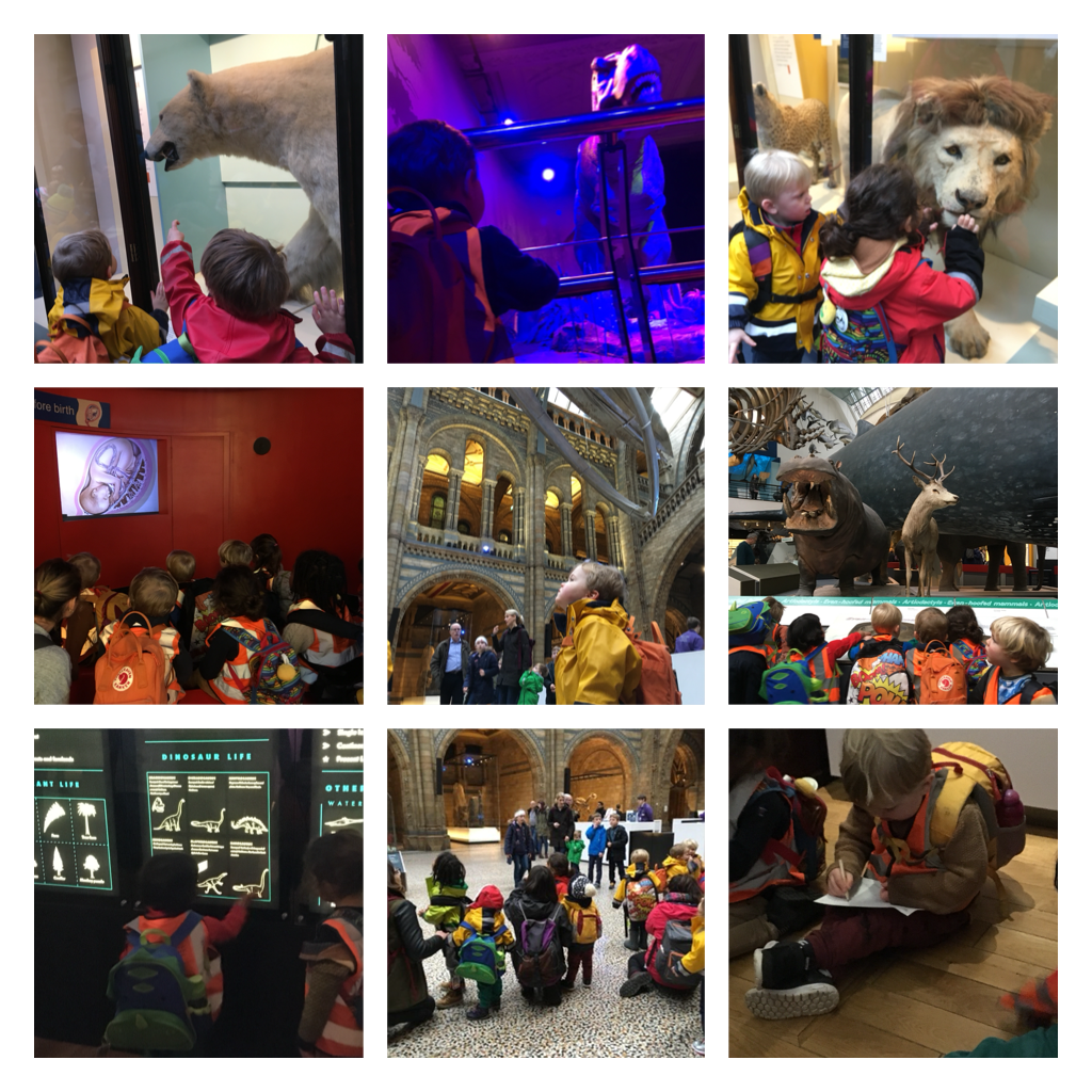 Wandsworth - Exploring Dinosaurs