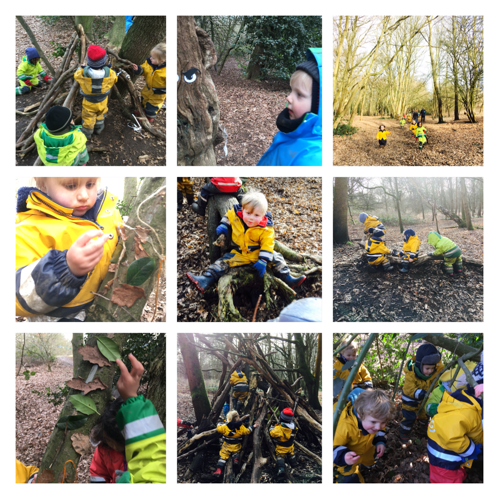 Wandsworth - Revitalising sunshine