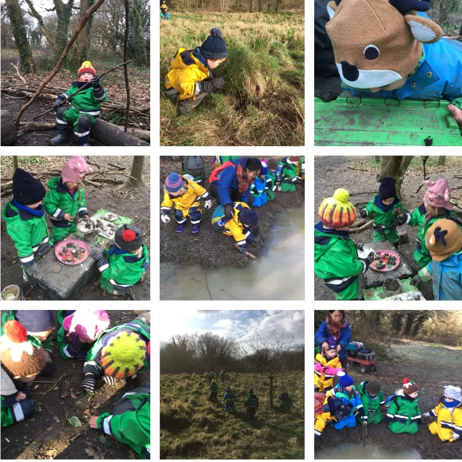 Barnes - Creating shapes!