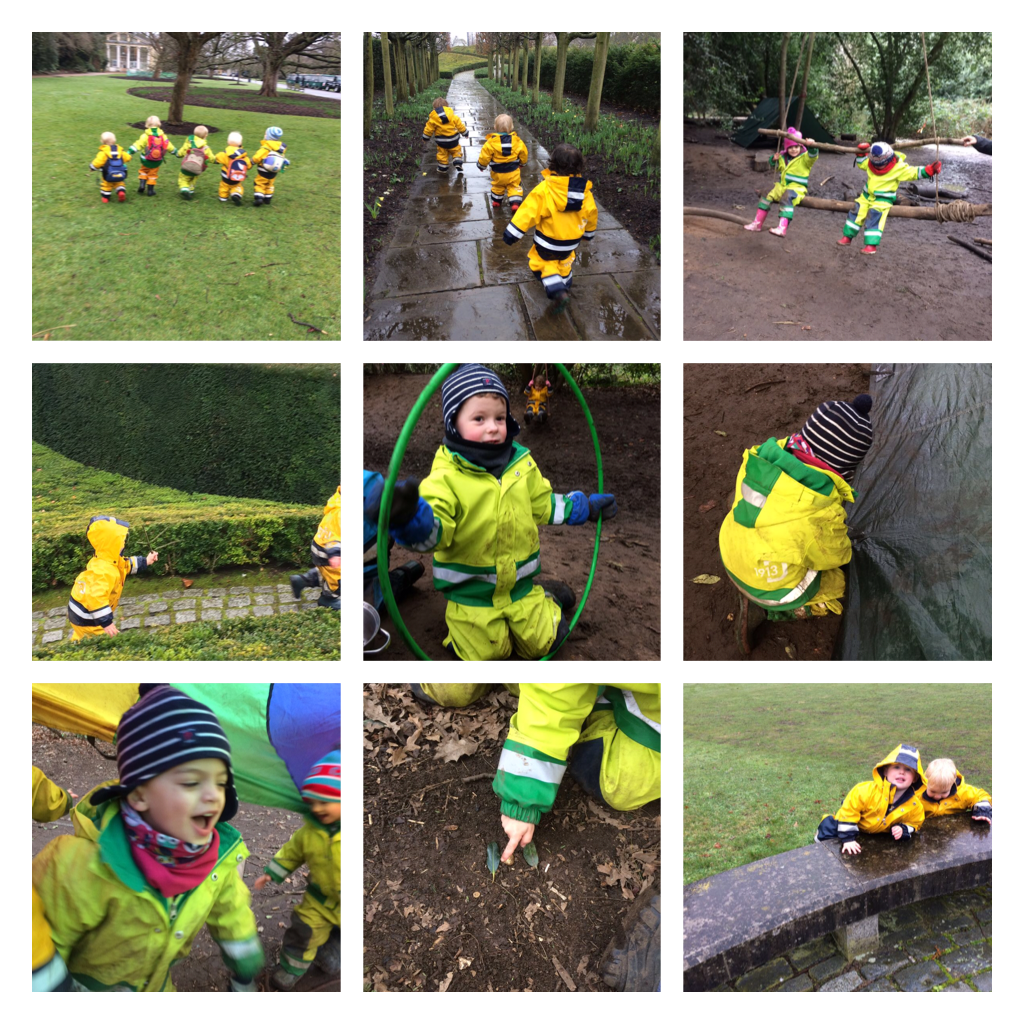 Chiswick - Orchid Festival