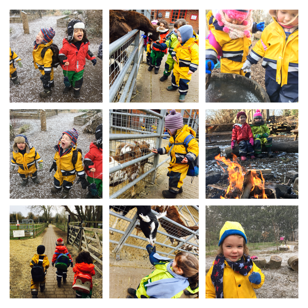 Wandsworth - Snow flurries