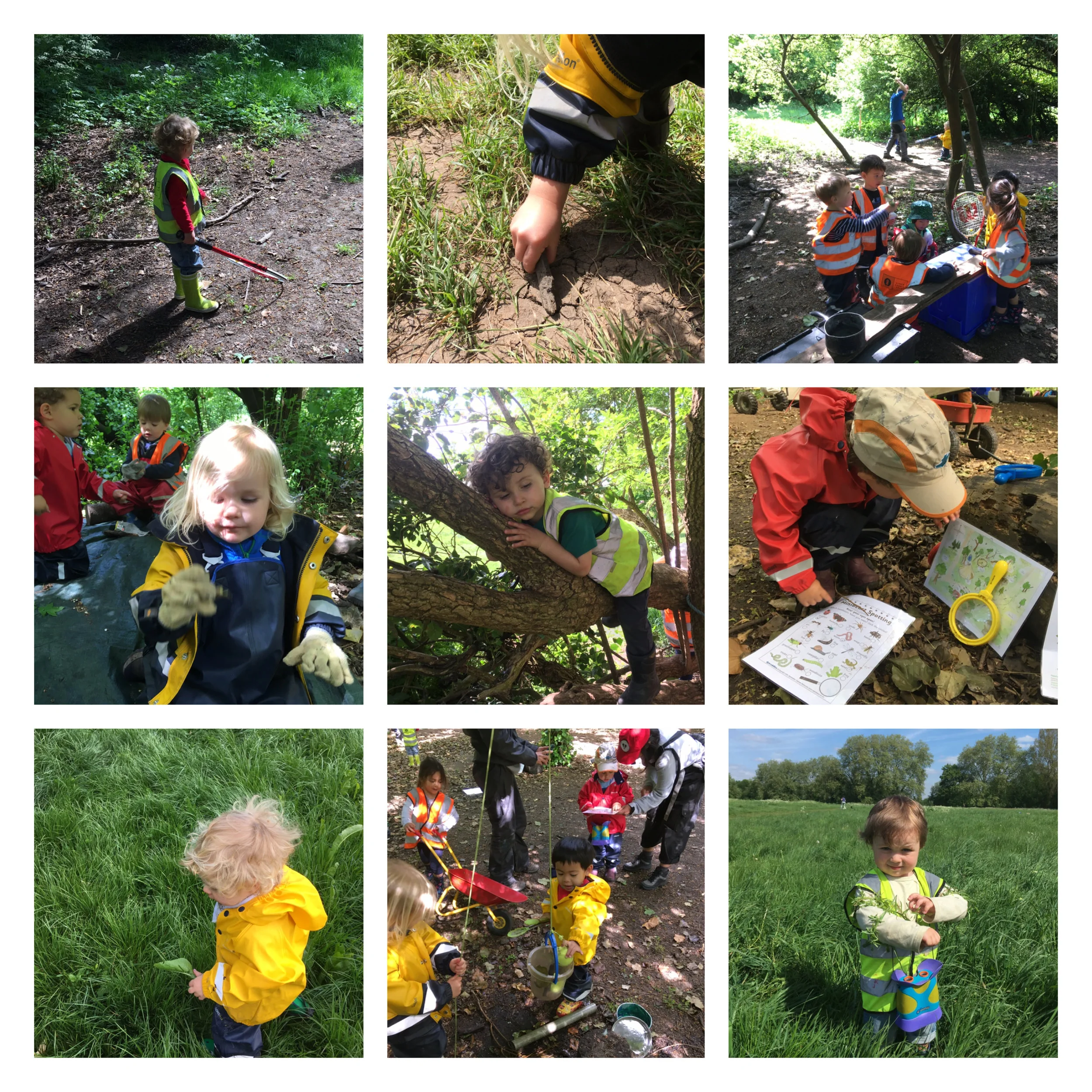 Barnes - Tool use and construction!