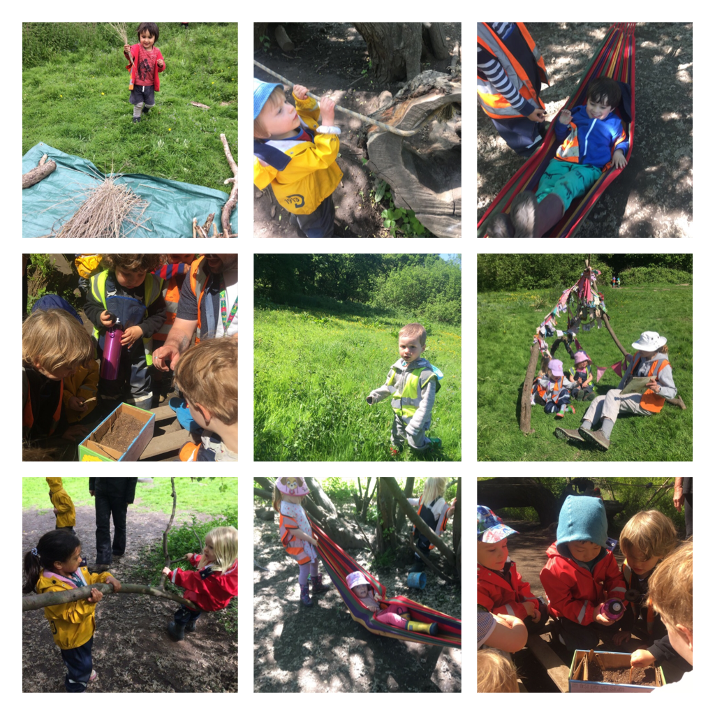 Wimbledon - How things grow