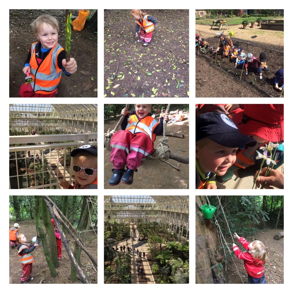 Chiswick - Forest Painting