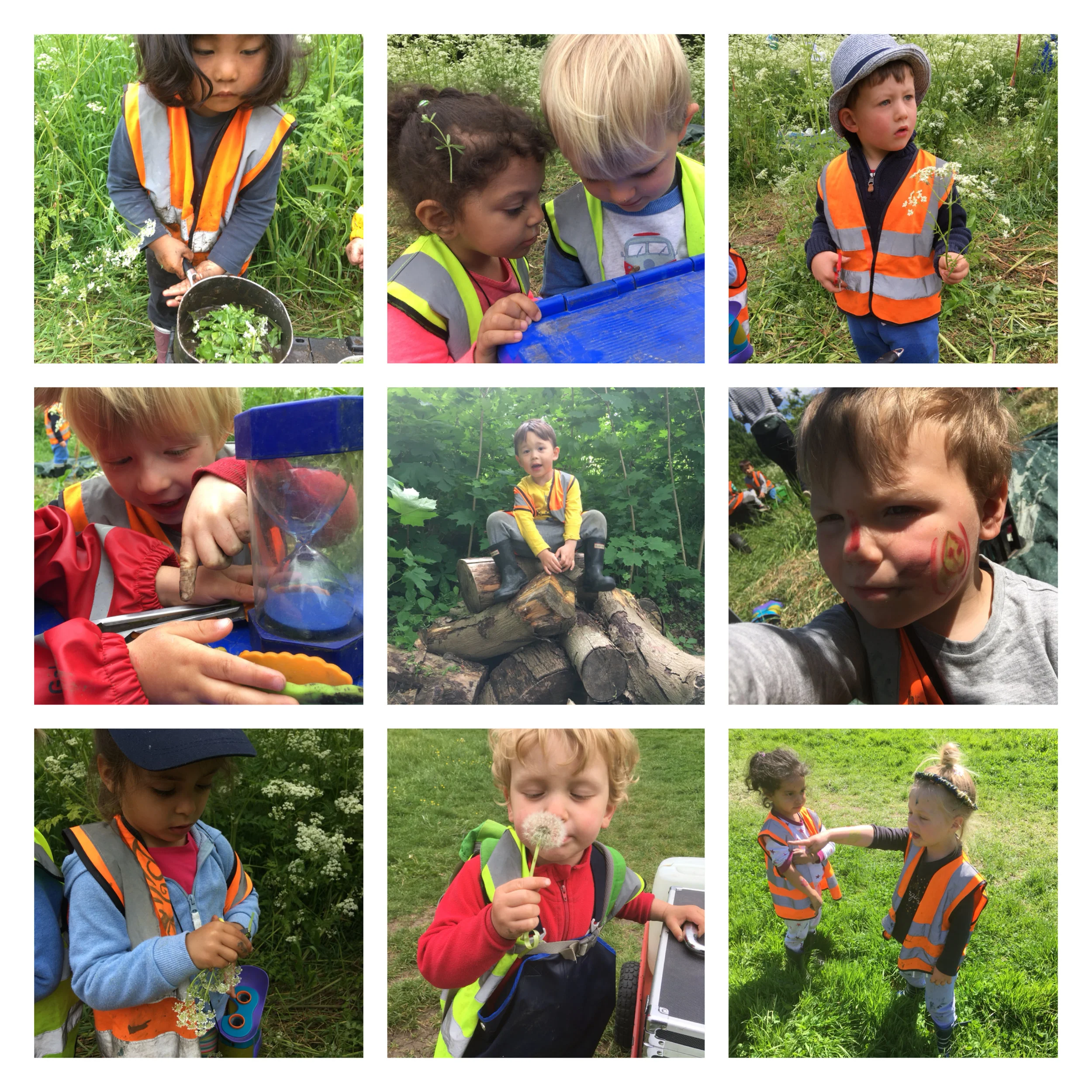 Barnes - Adventure and Investigation