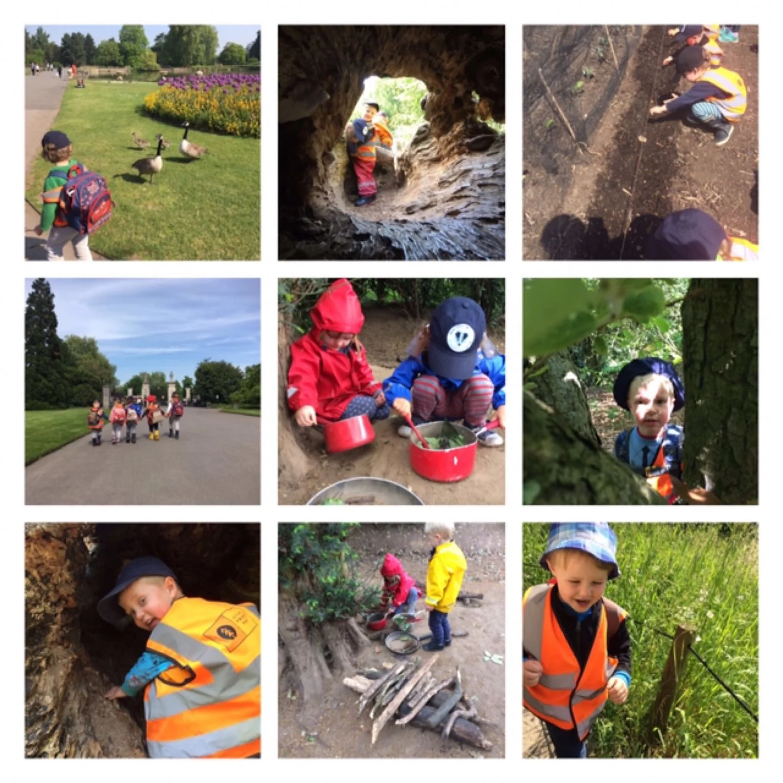 Chiswick - Log trail