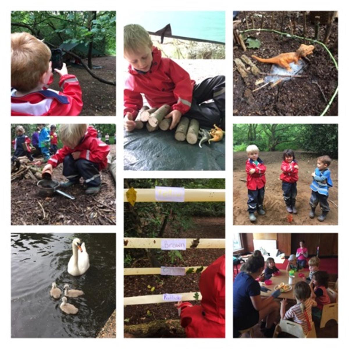 Wandsworth - Electrical storms