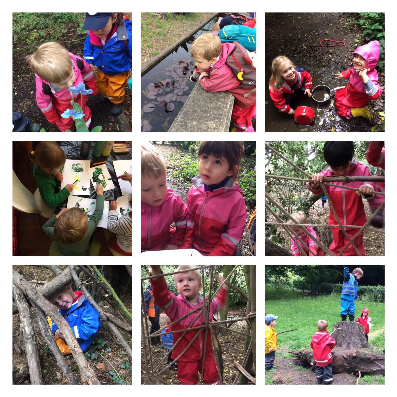 Chiswick - Forest poetry