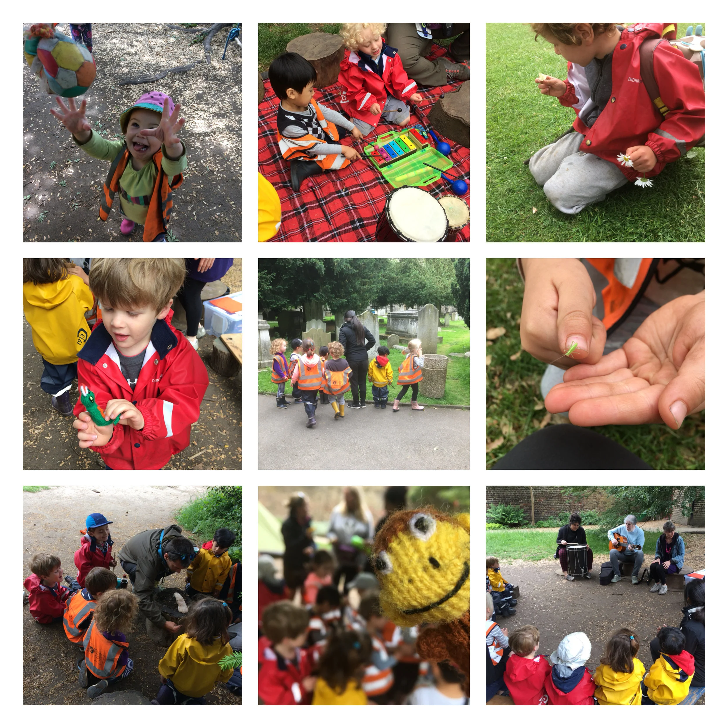 Fulham - Forest experiments