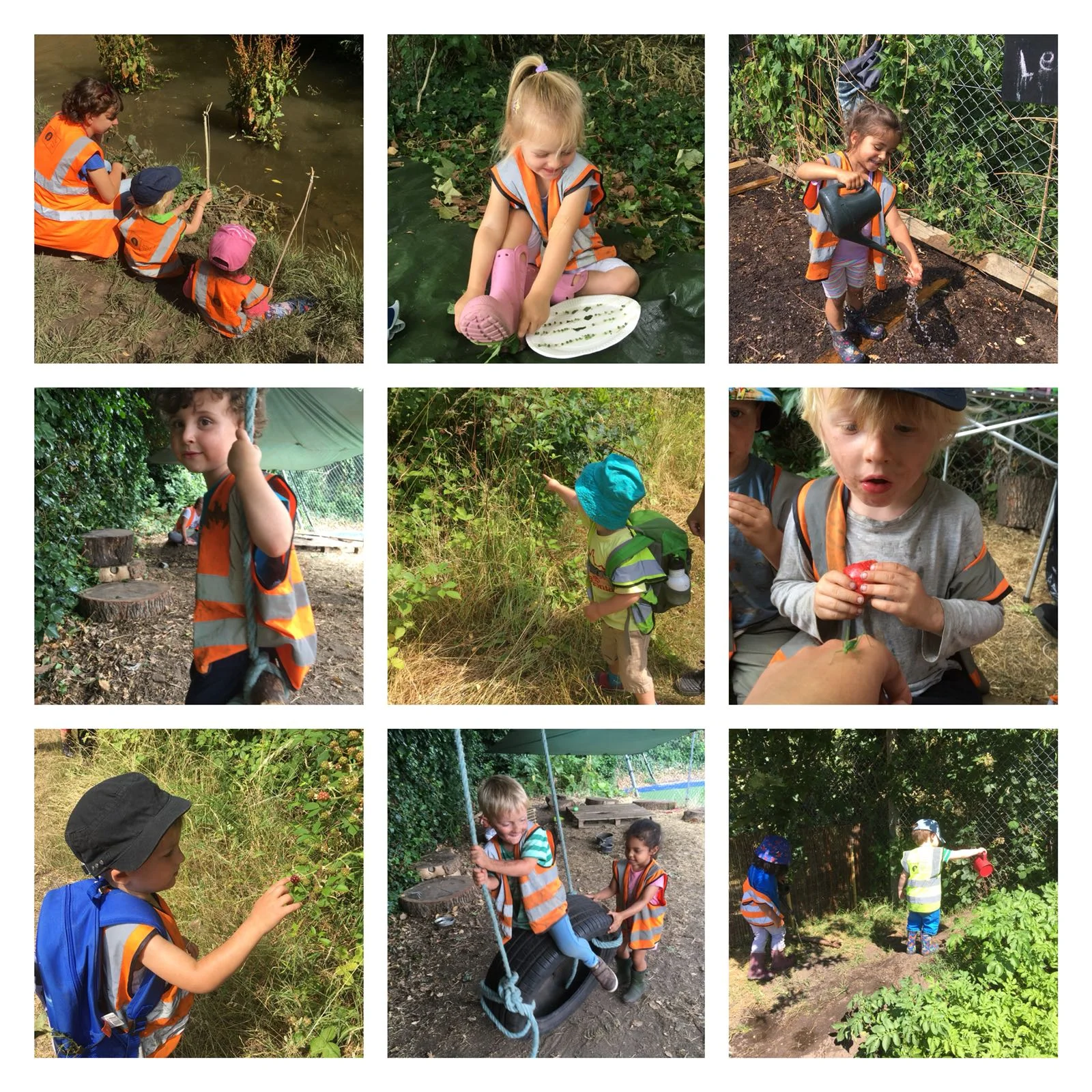 Barnes - Adventure Walks