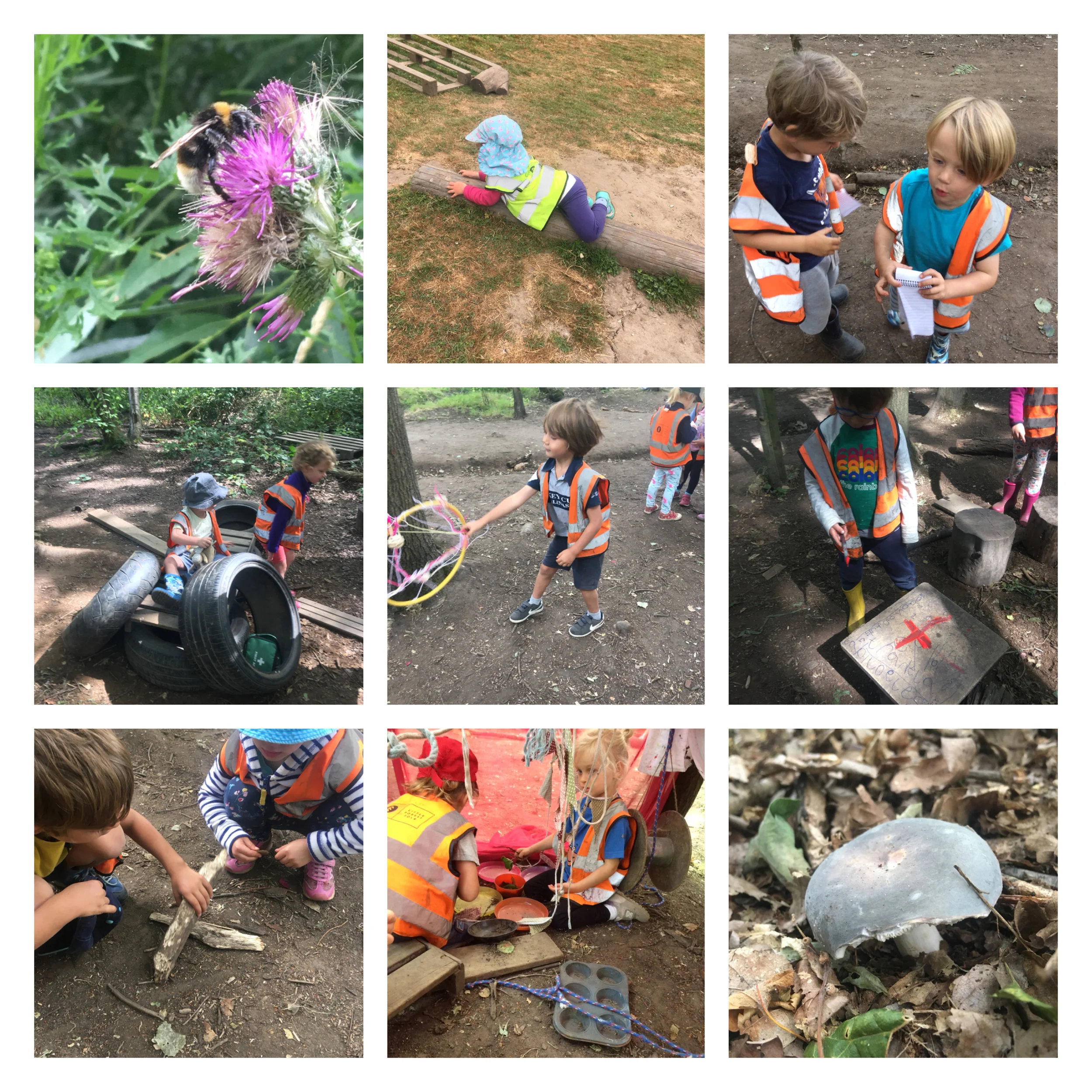 Wimbledon - Troll Bridge