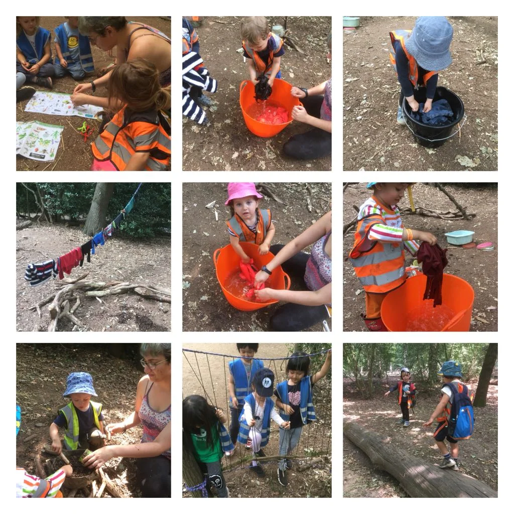 Wandsworth - Tree cookies