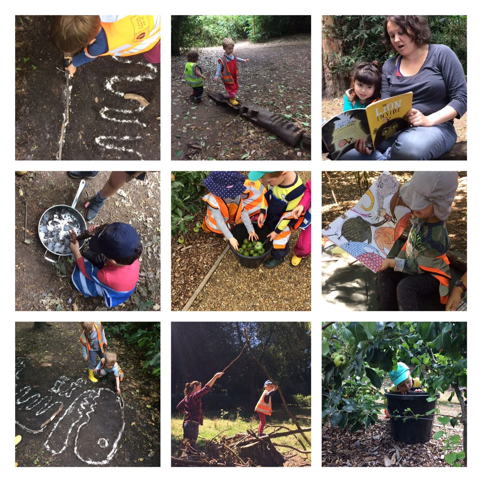 Chiswick - Apple picking