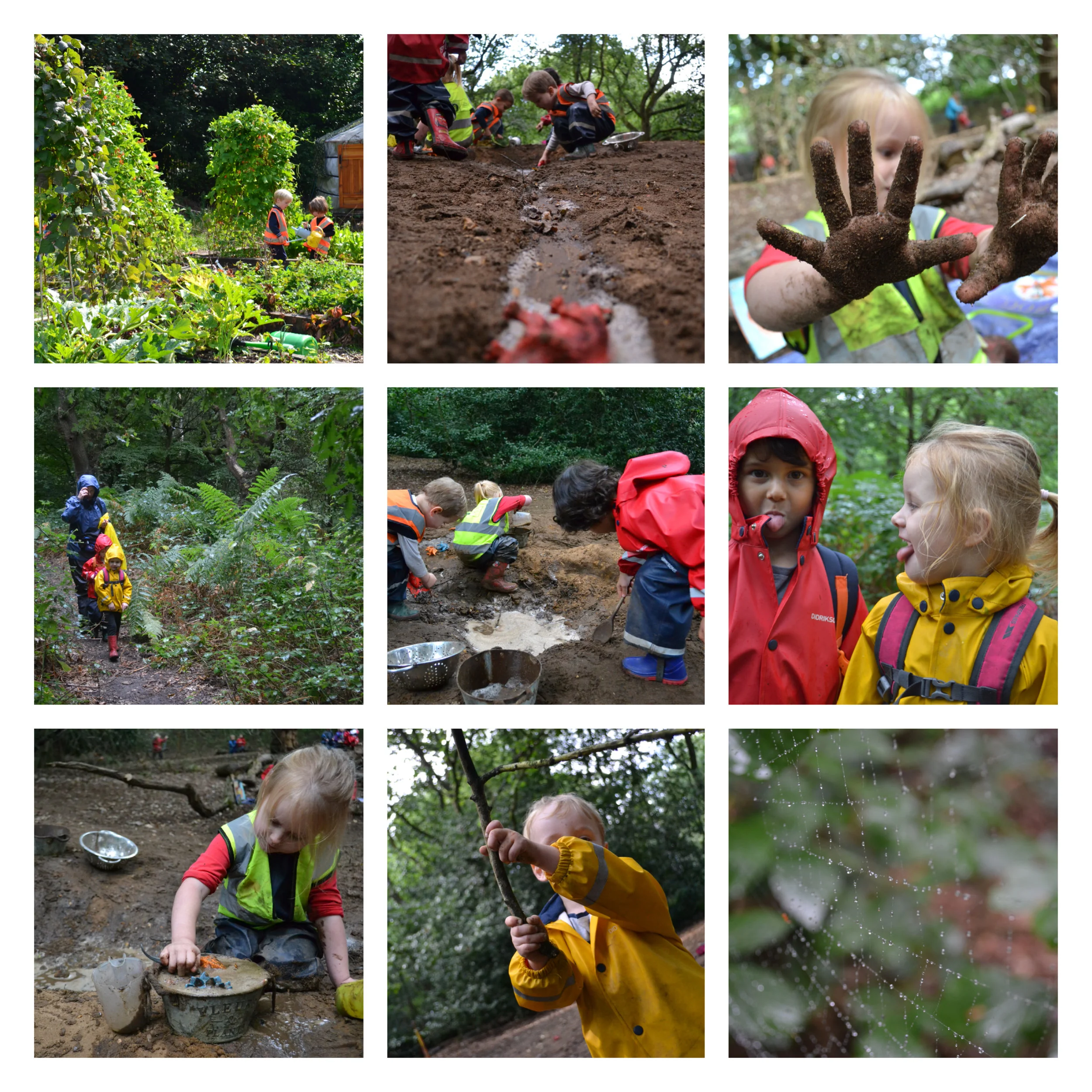 Wandsworth - Forest creativity