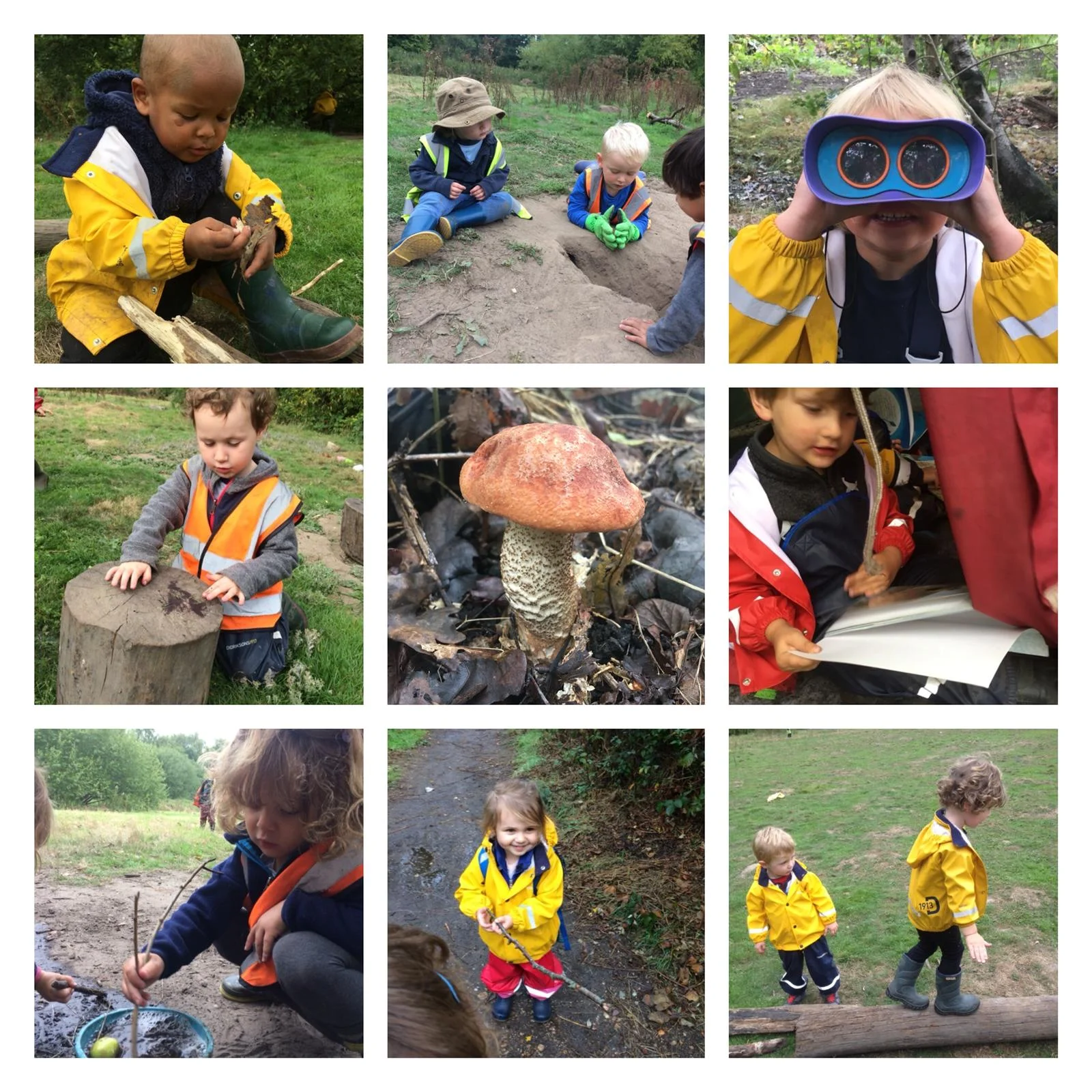 Wimbledon - Autumnal Weather