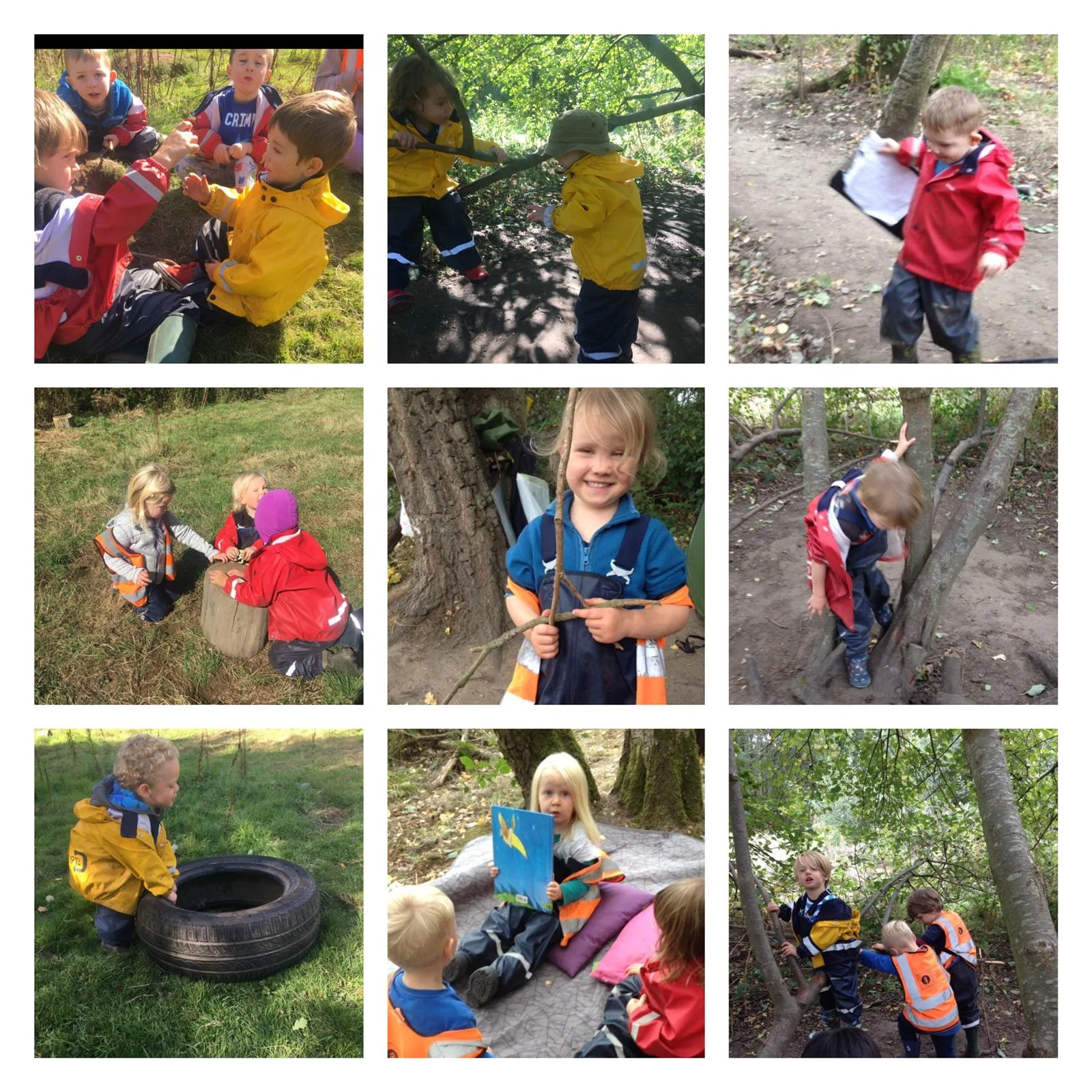 Wimbledon - Forest Creativity