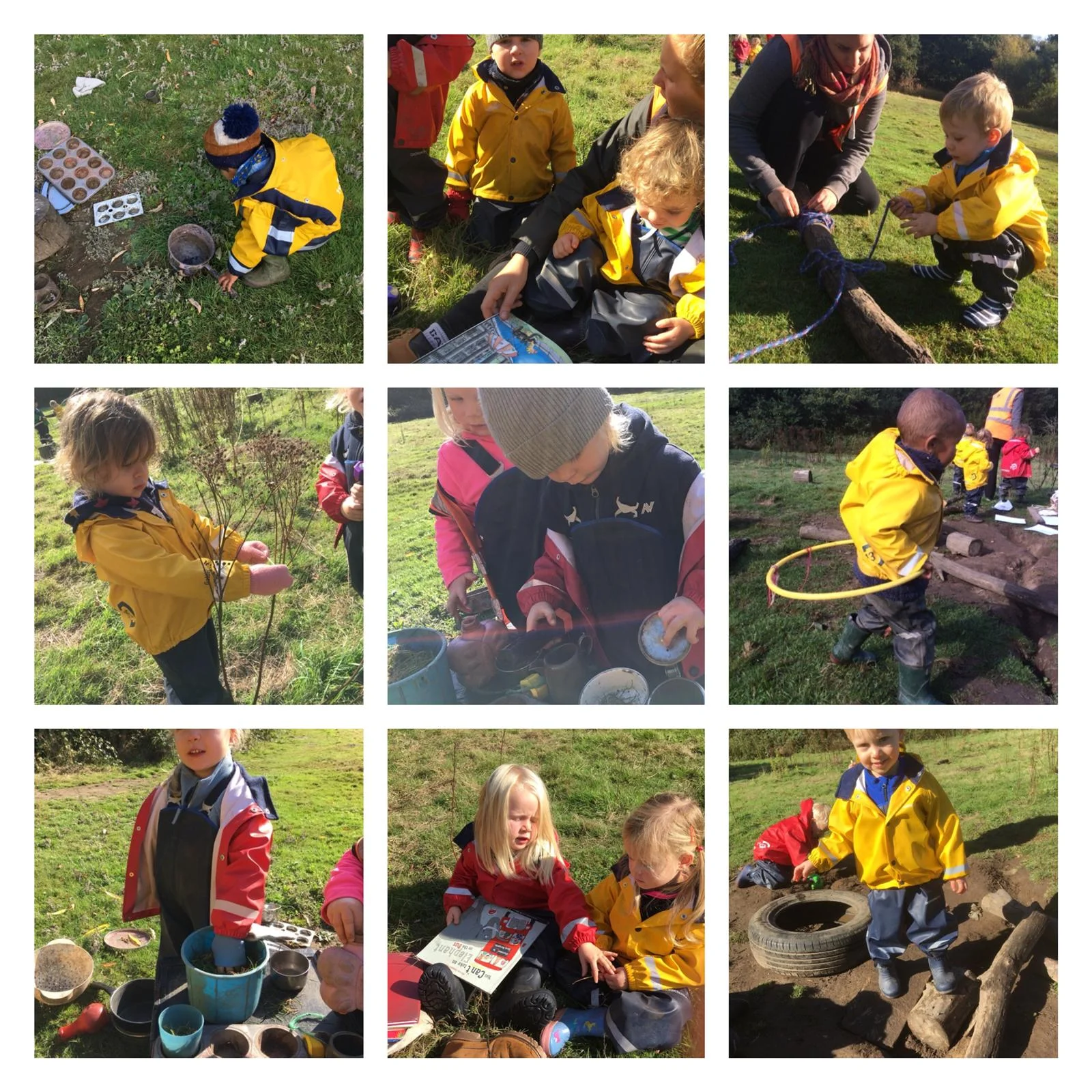 Wimbledon - Colourful Weaving