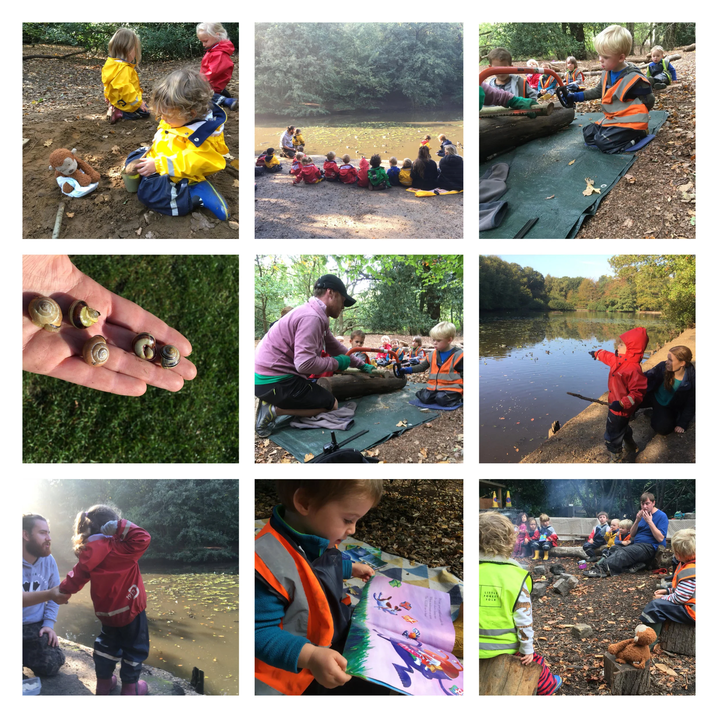 Wandsworth - Jumping Competitions