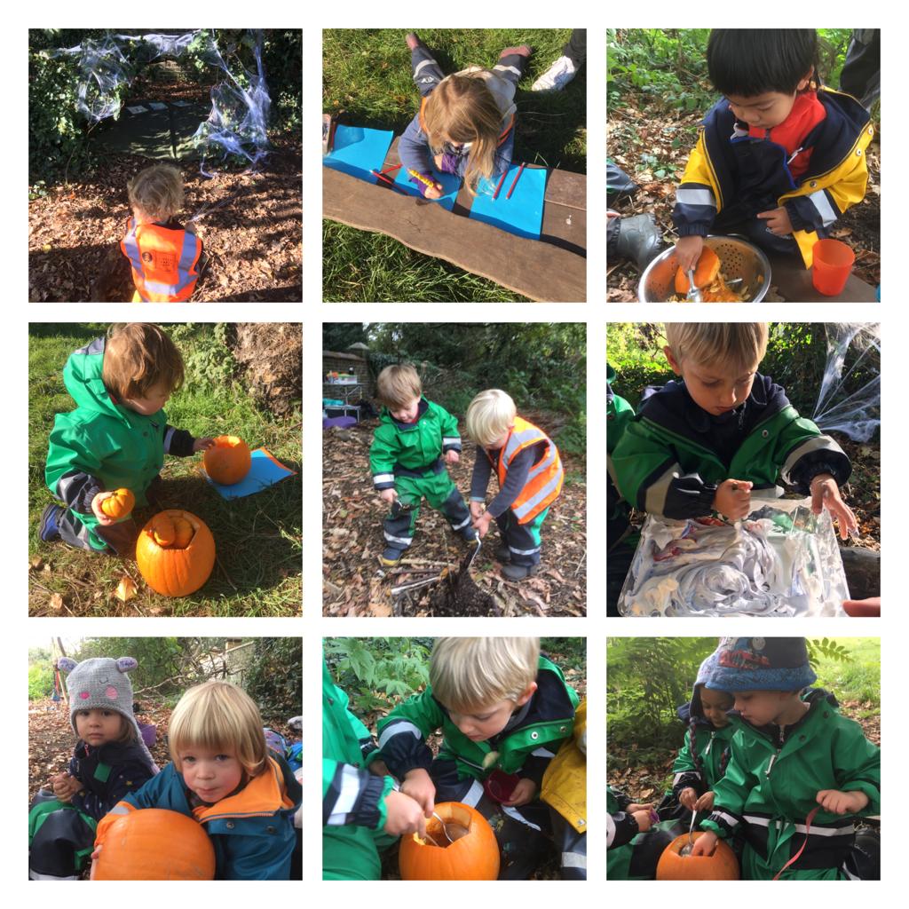 Barnes - woodland animal footprints