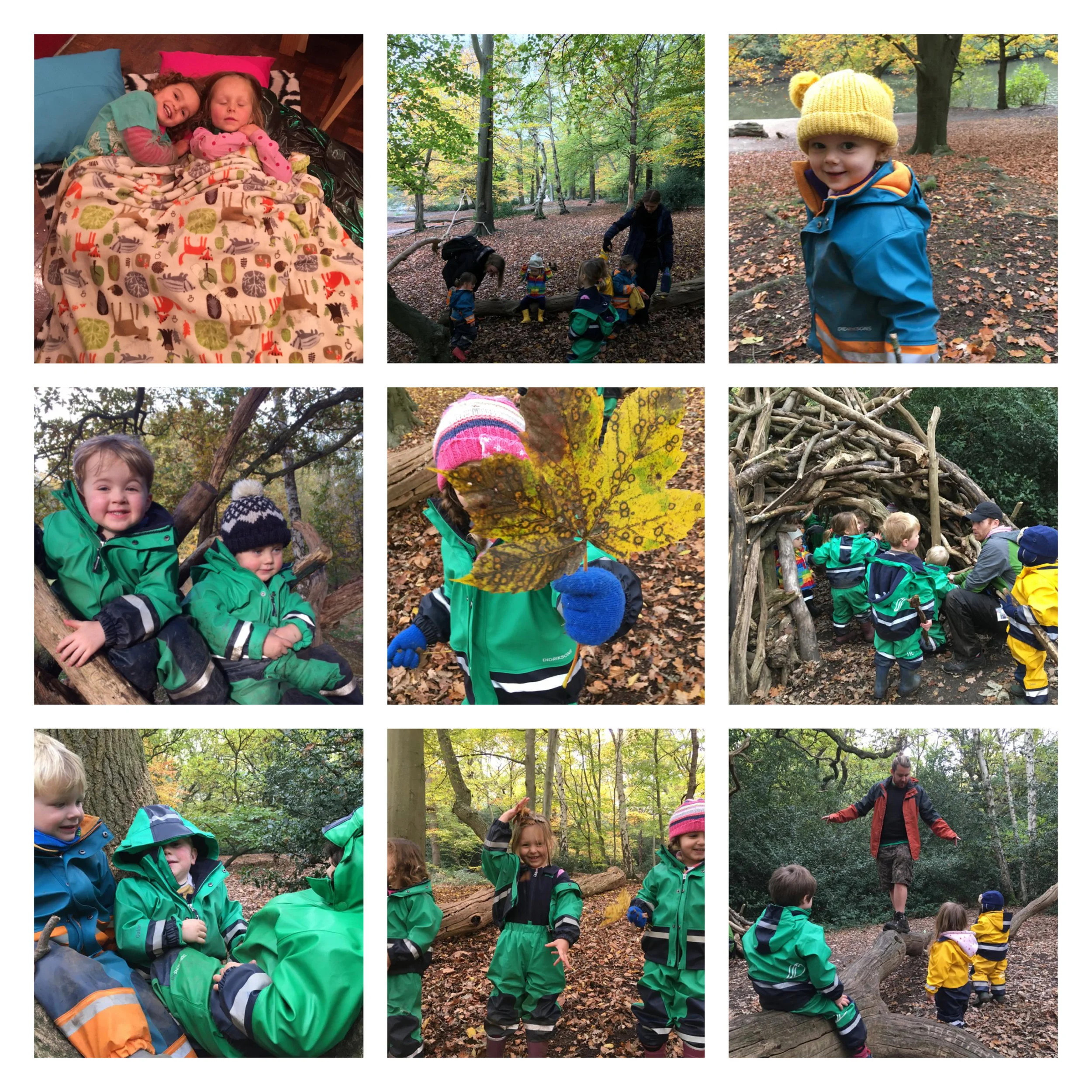 Wandsworth - Autumn leaves