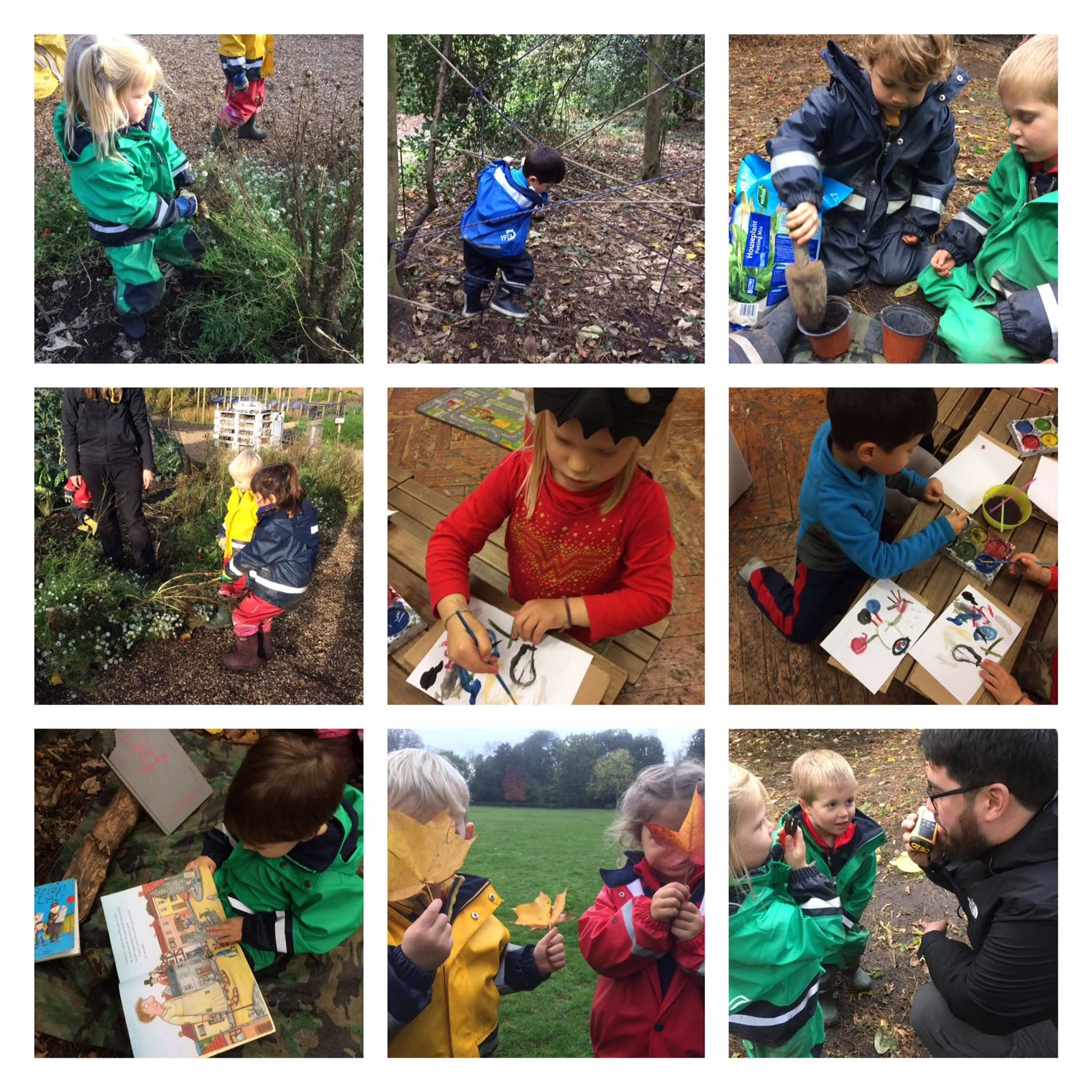 Chiswick - Festival of light