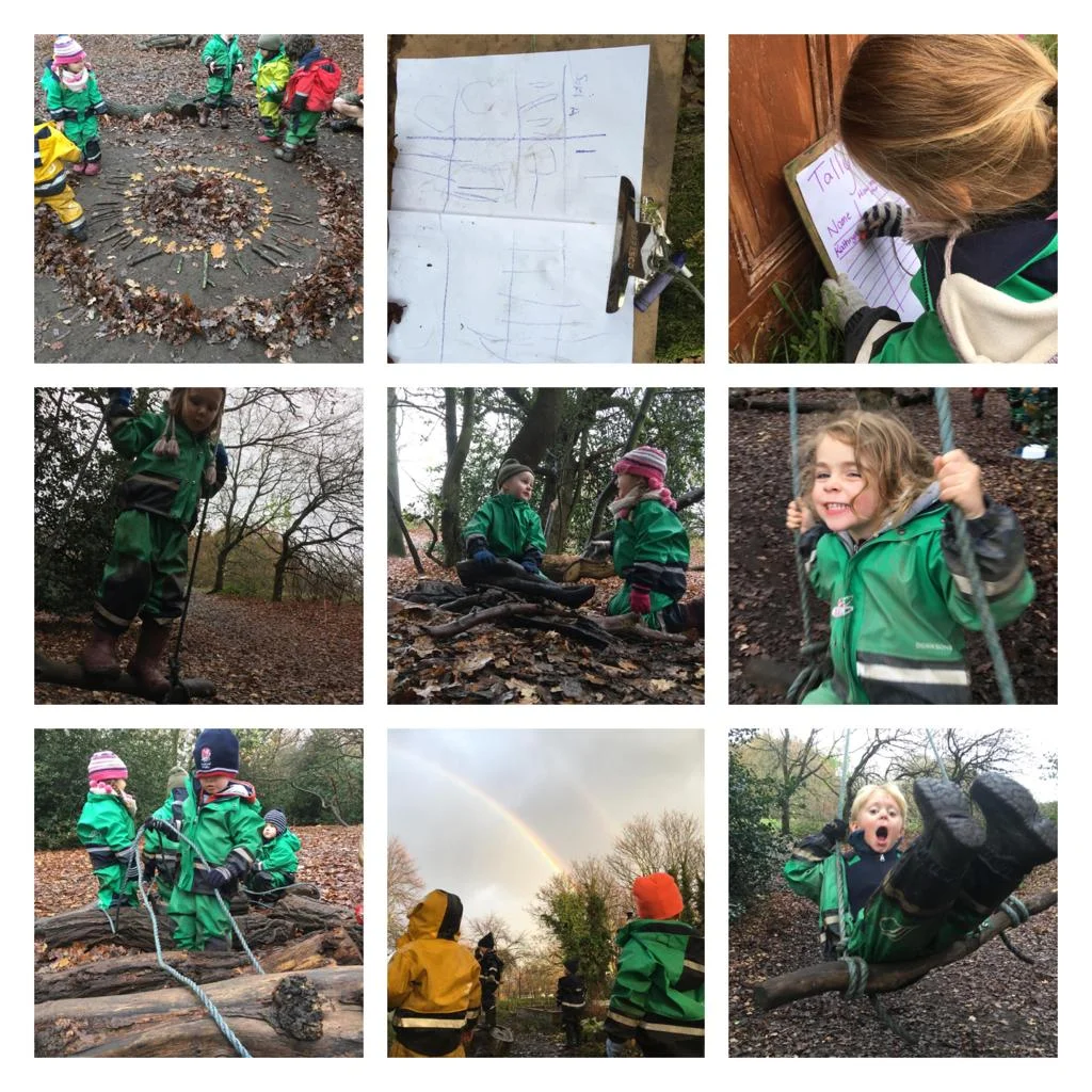 Wandsworth - Rainbows in the forest