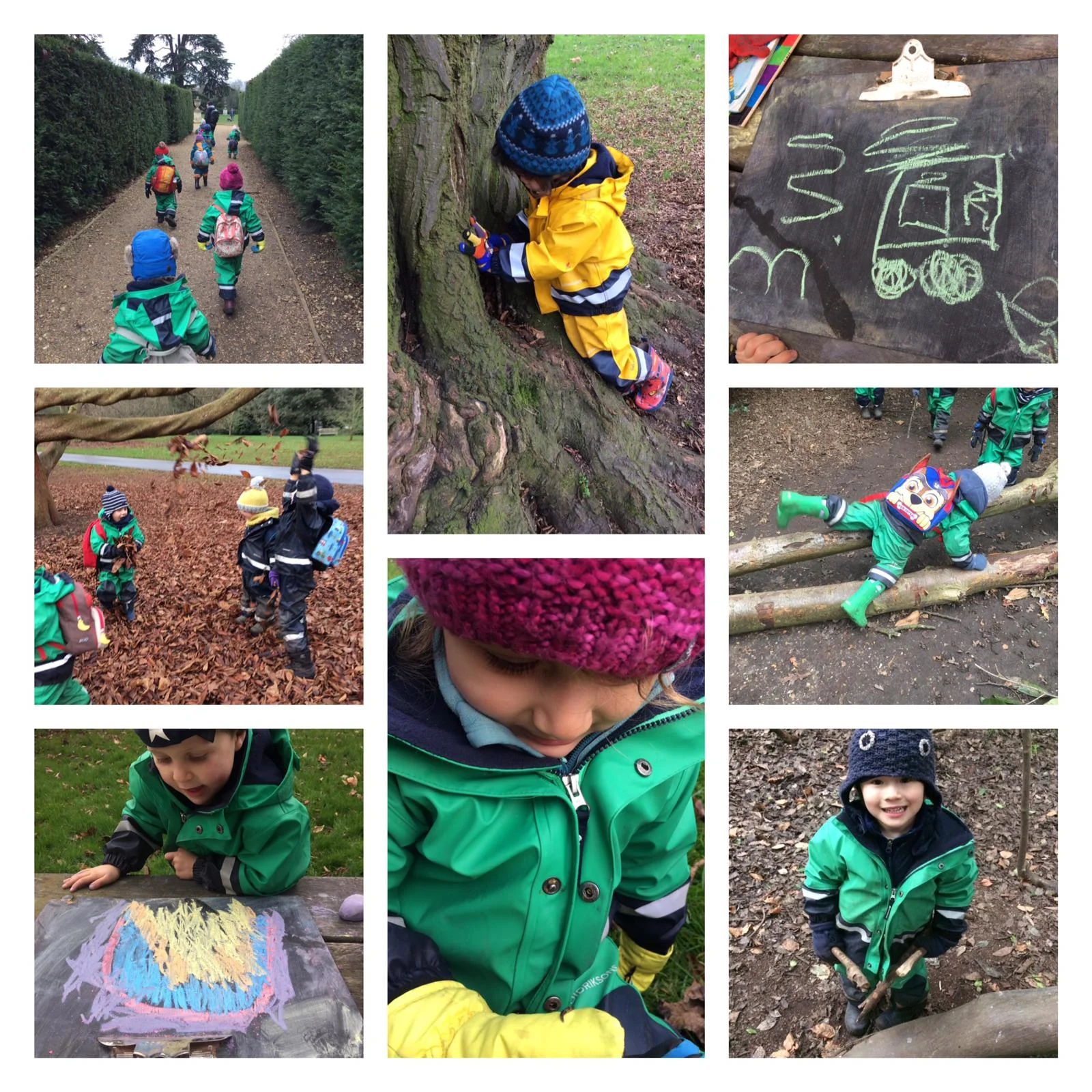 Chiswick - Collecting pinecones