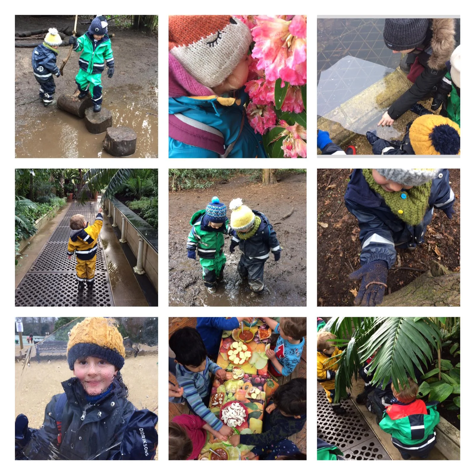 Chiswick - Forest Rhyming 