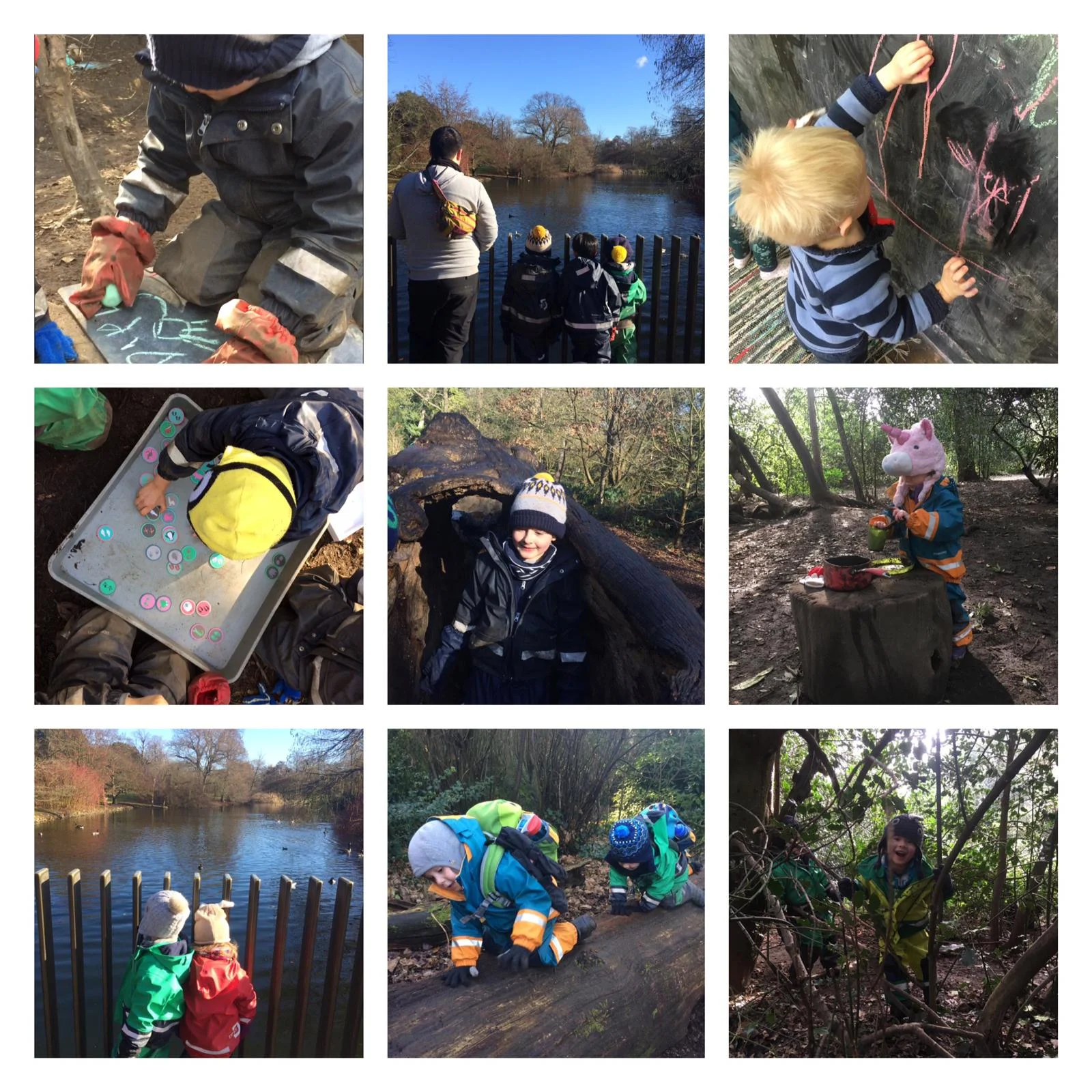 Chiswick - natural resources