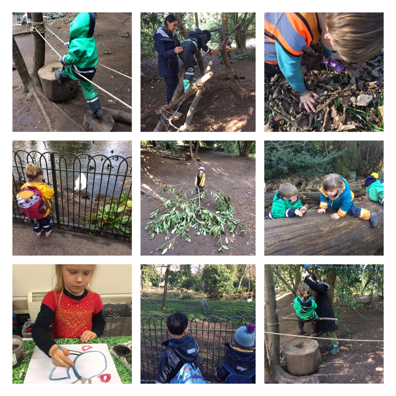 Chiswick - Zip line fun!