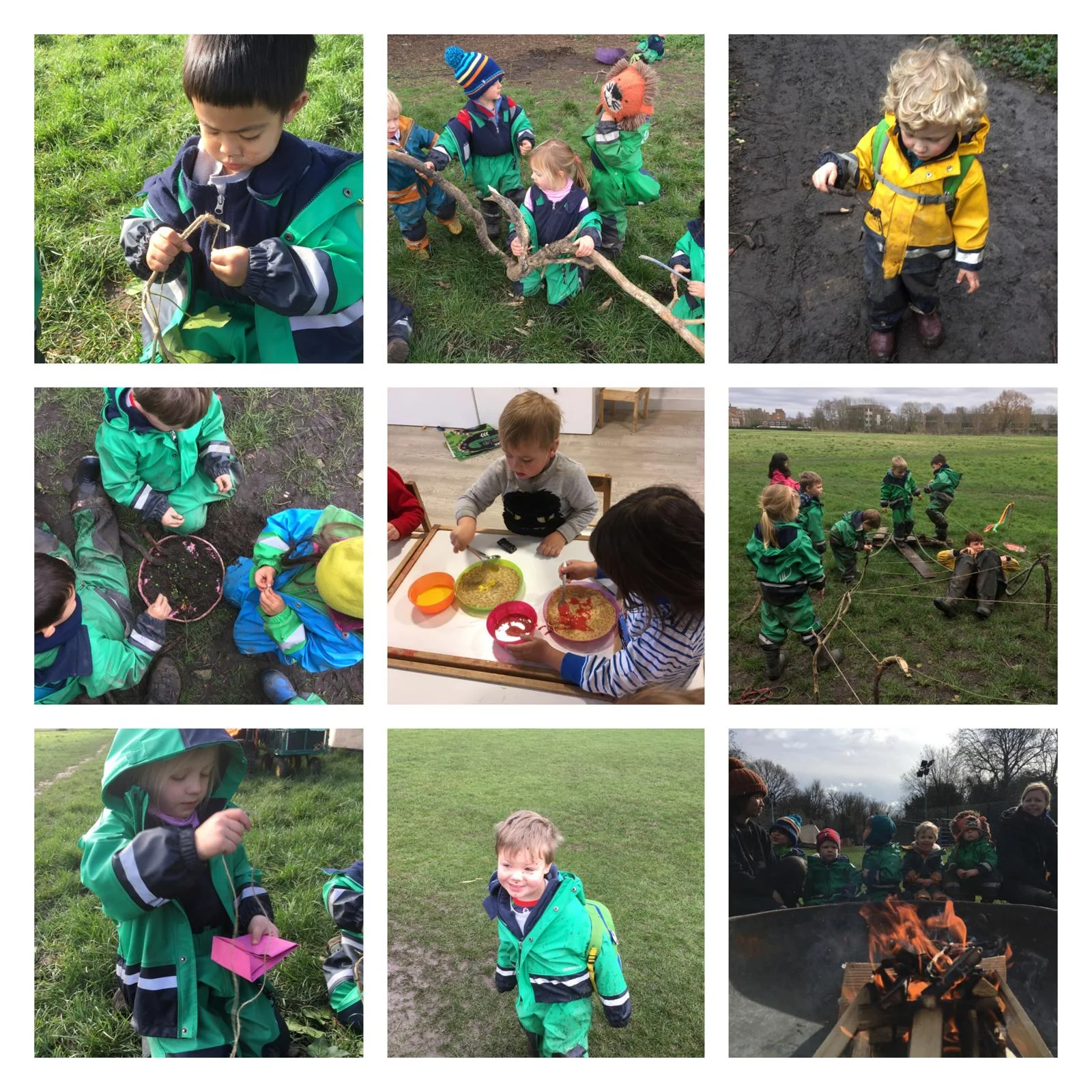 Barnes - creativity in the forest