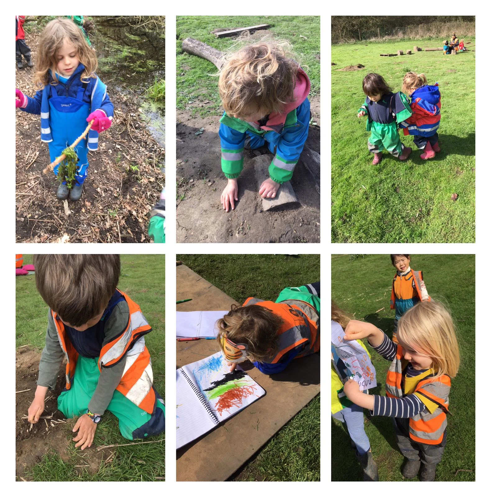 Wimbledon - Forest maps