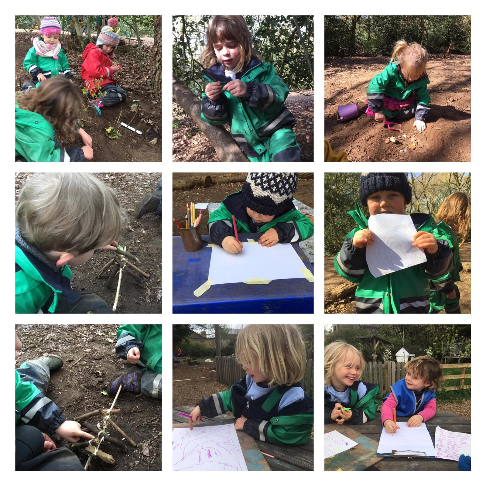 Wandsworth - Tree climbing