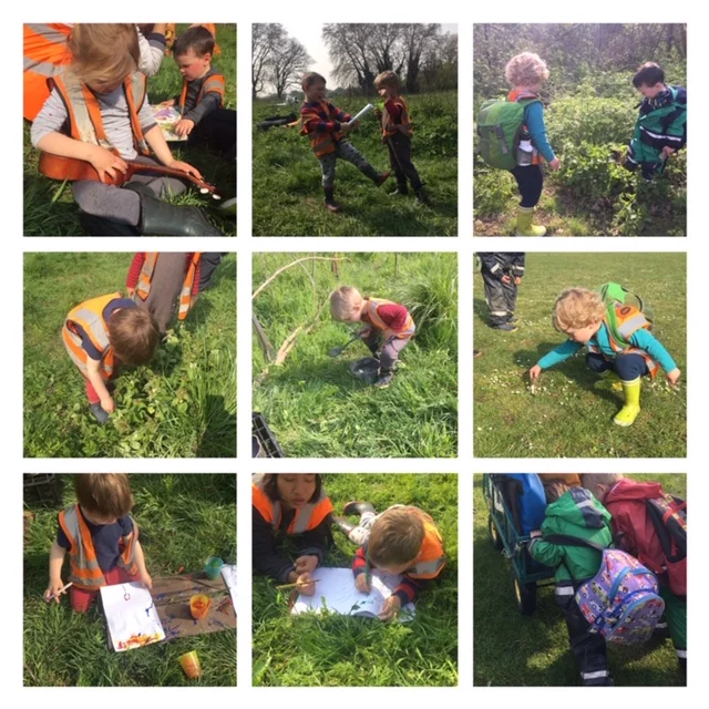 Barnes - Wildlife spotting