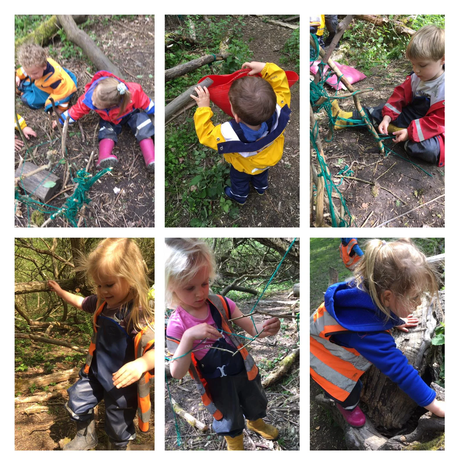 Wimbledon - A Bugs Life&nbsp;