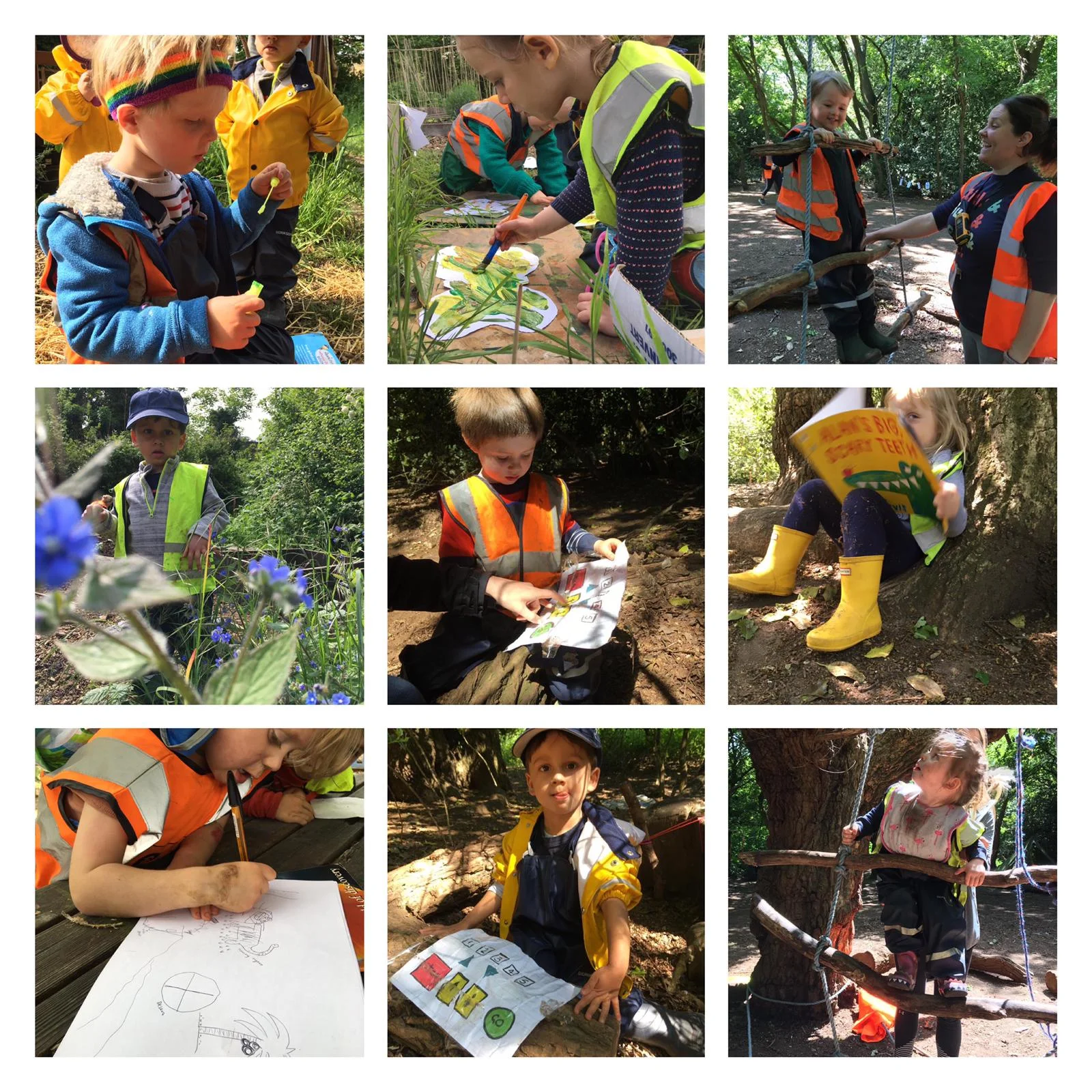 Wandsworth - decorated butterflies
