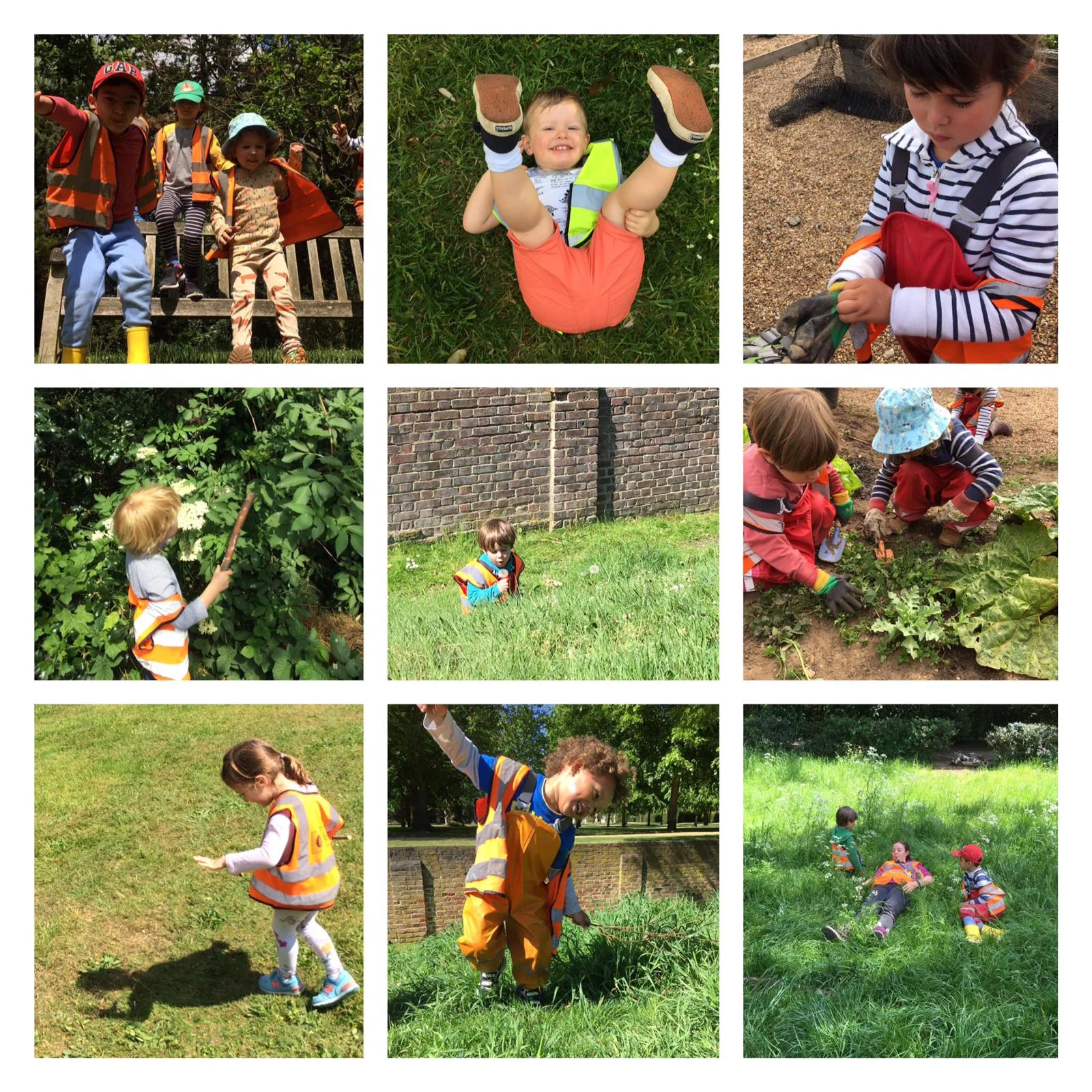 Chiswick - Leopard slugs