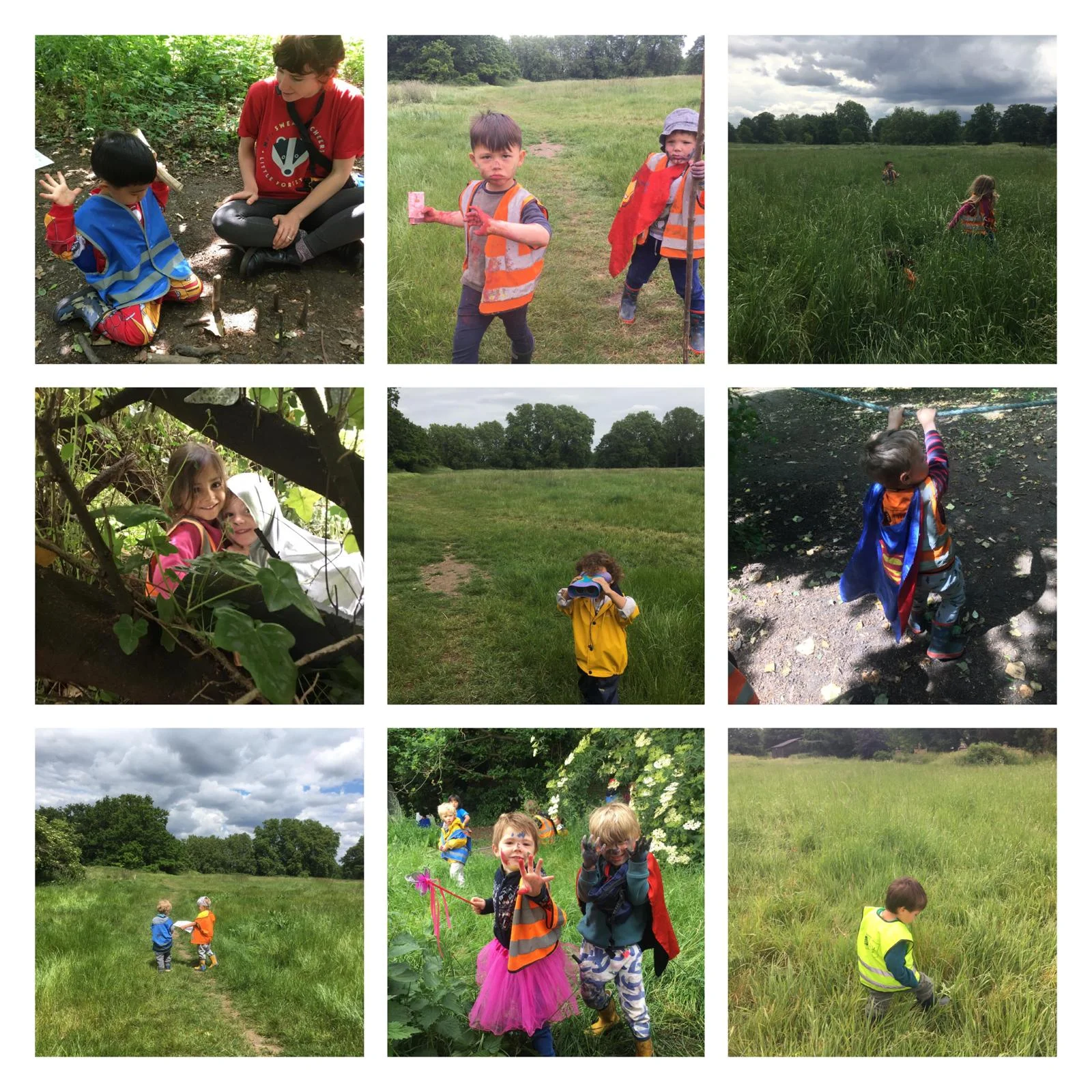 Barnes - jungle grass