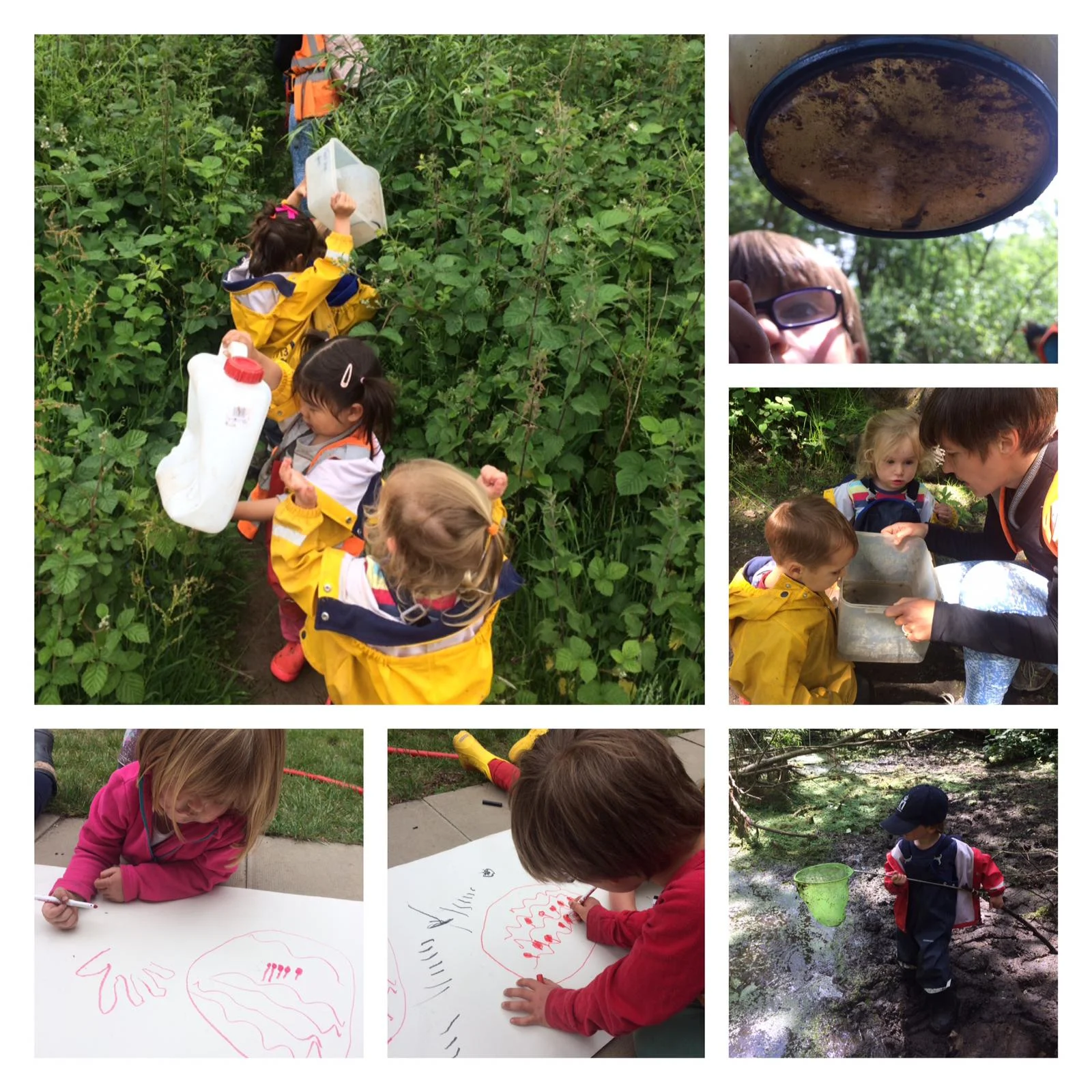 Wimbledon - transporting water