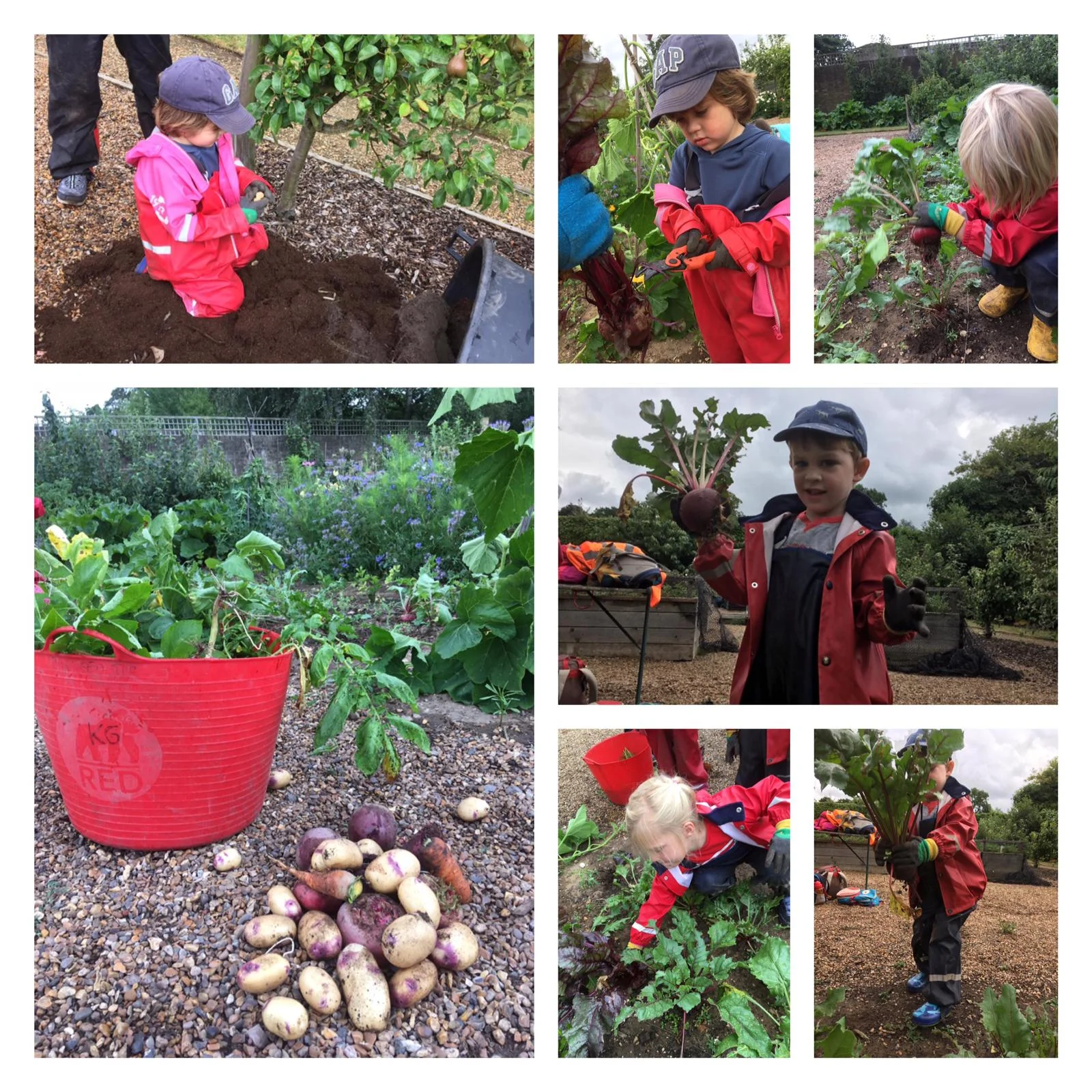 Chiswick - Log trail