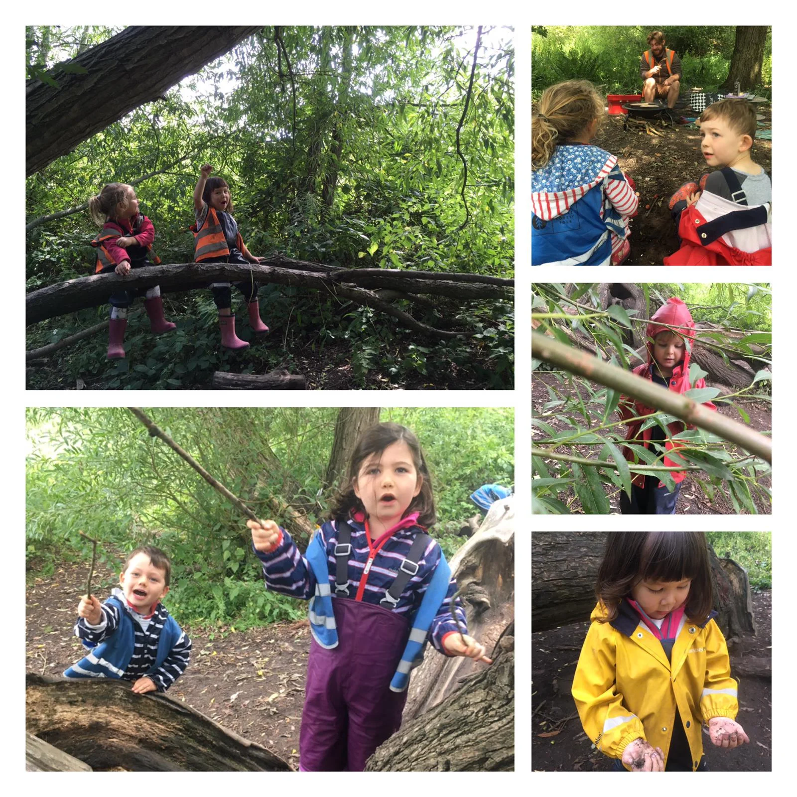 Wimbledon - rain, sun and wind