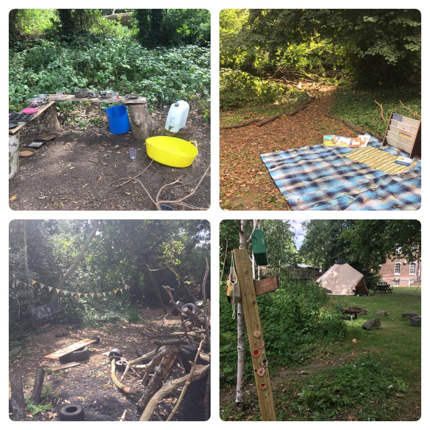 Twickenham - Playful curiosity 