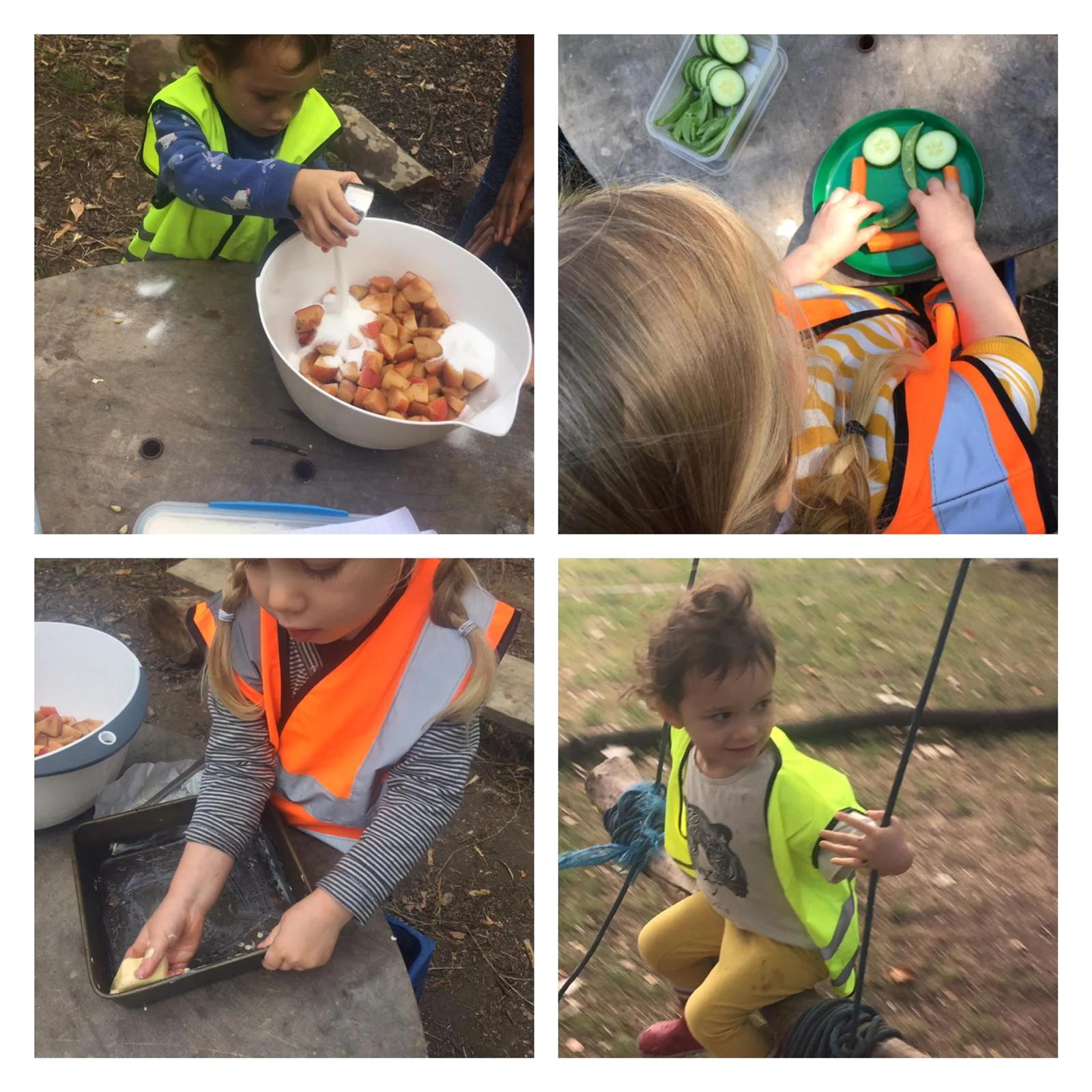 Twickenham - Feathered friends 