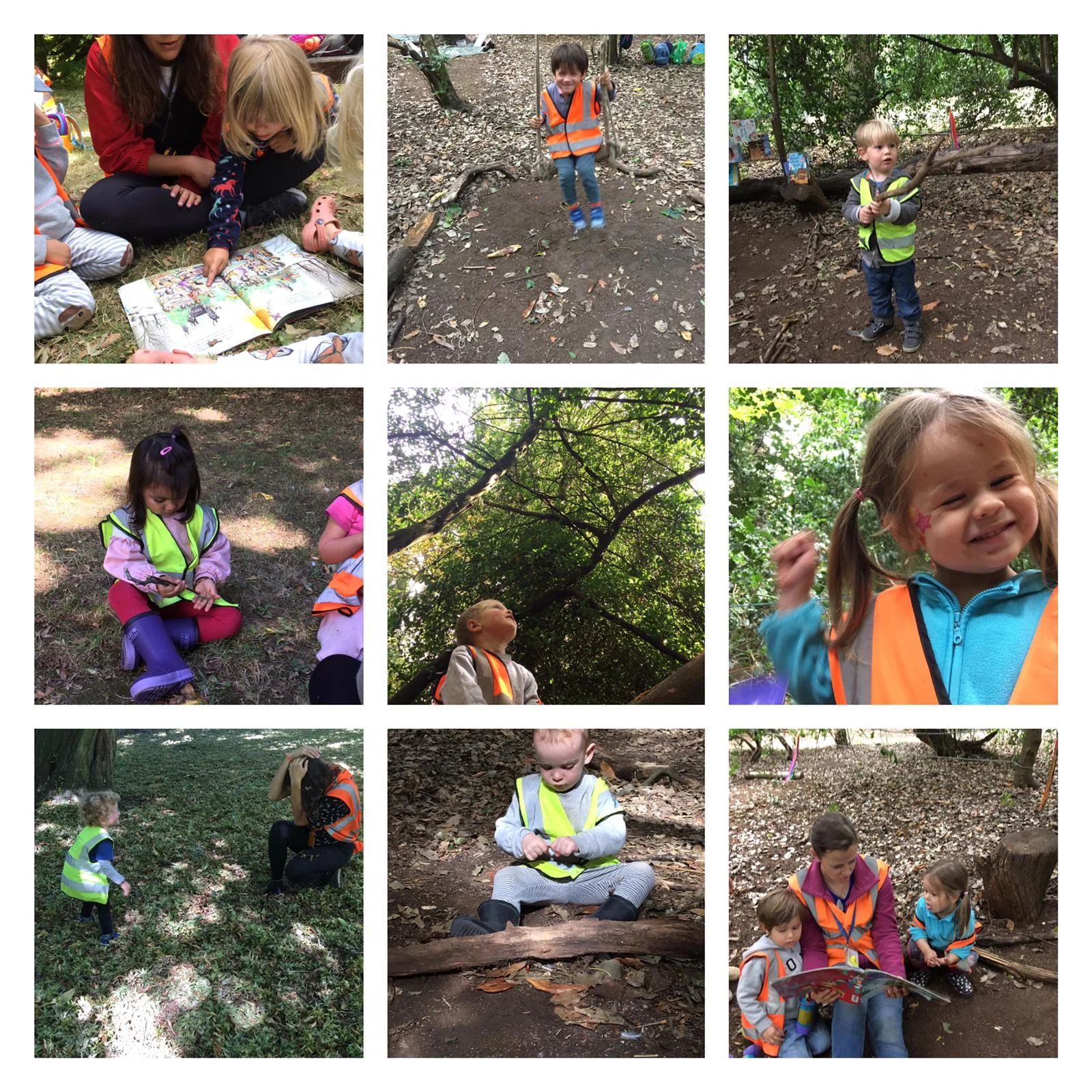 Chiswick - Settling into our new forest!