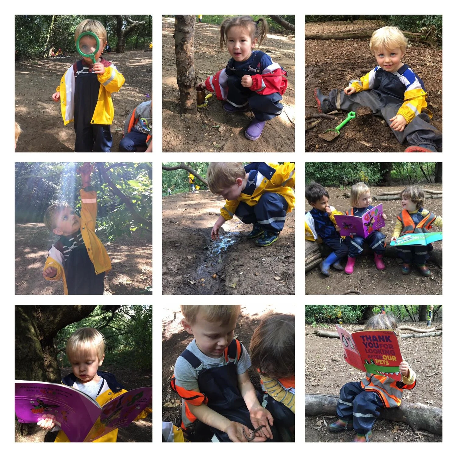 Wandsworth 13.09.2019 Collage11.jpeg