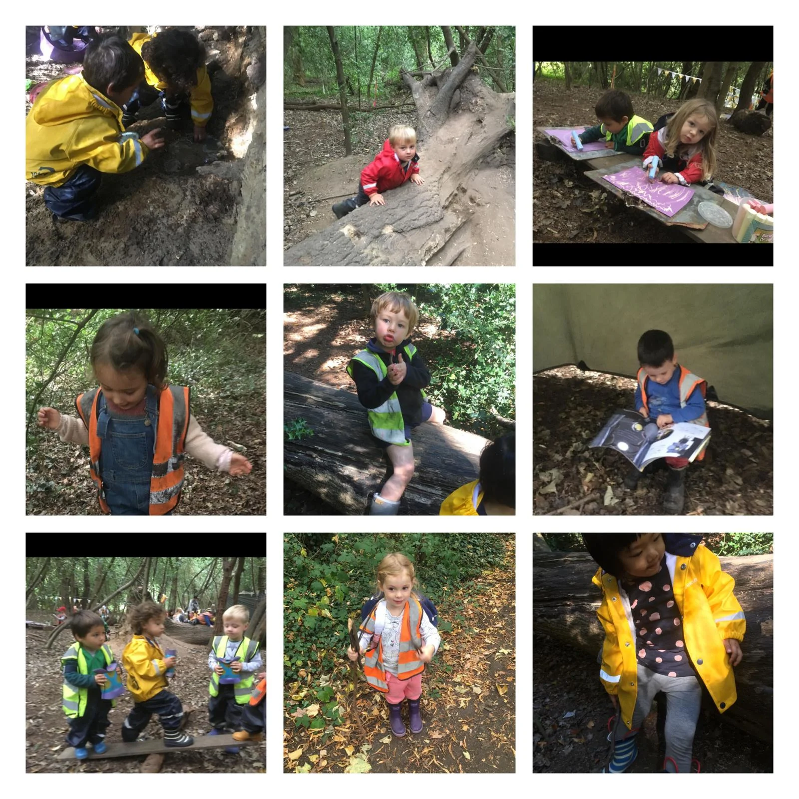 Barnes - Story Scribing and Forest Crowns