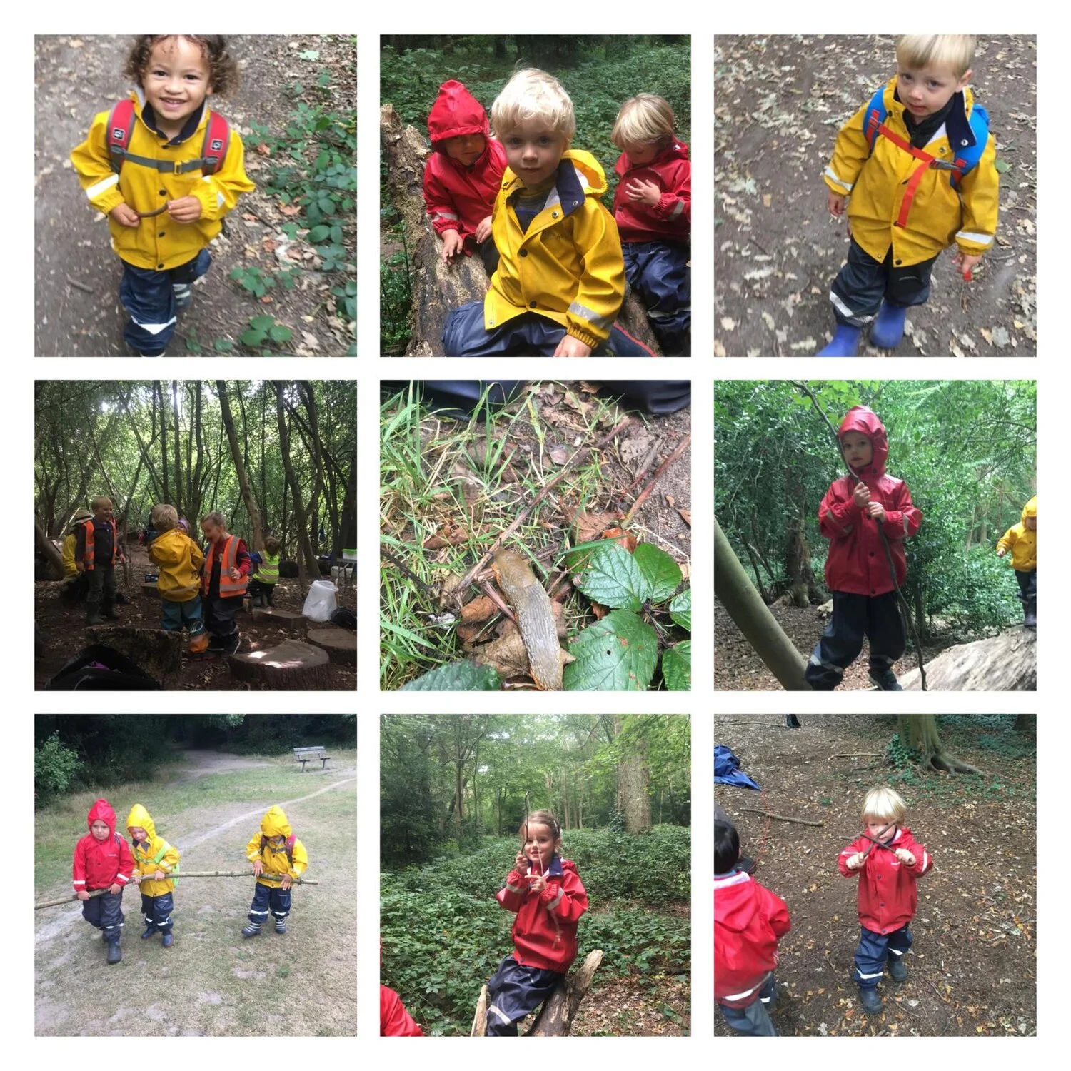 Barnes 13.09.2019 Collage2.jpeg