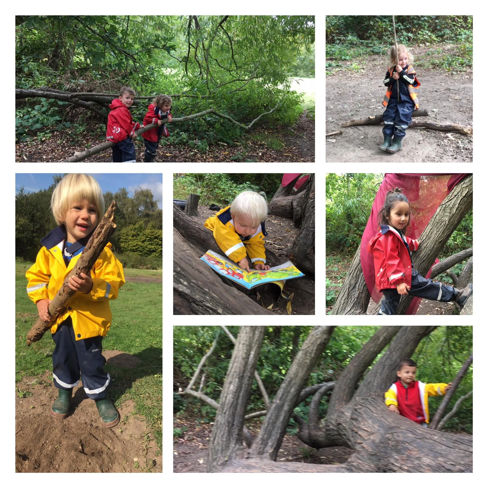 Wimbledon - Special spider webs