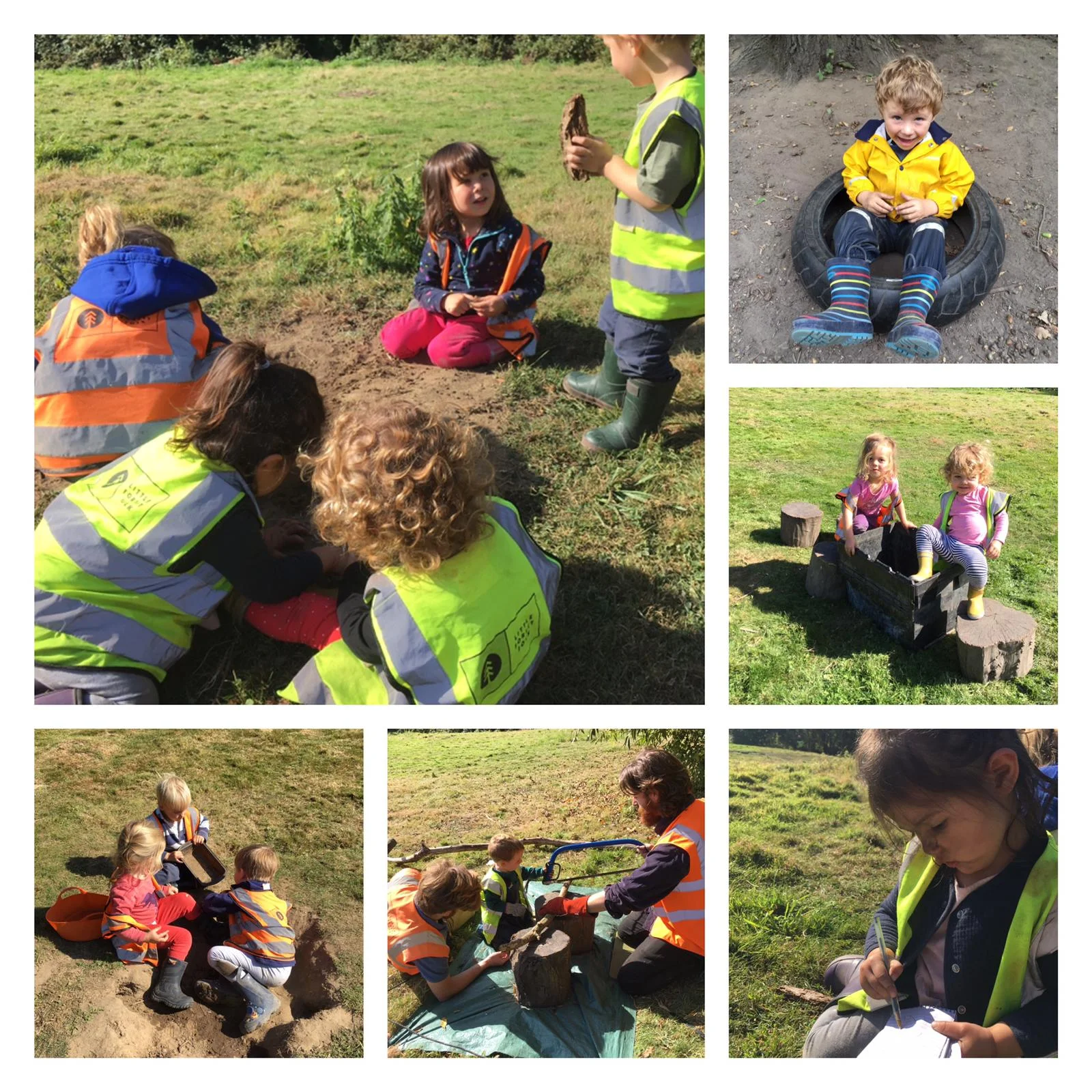 Wimbledon - Shady nooks and blackberry bushes